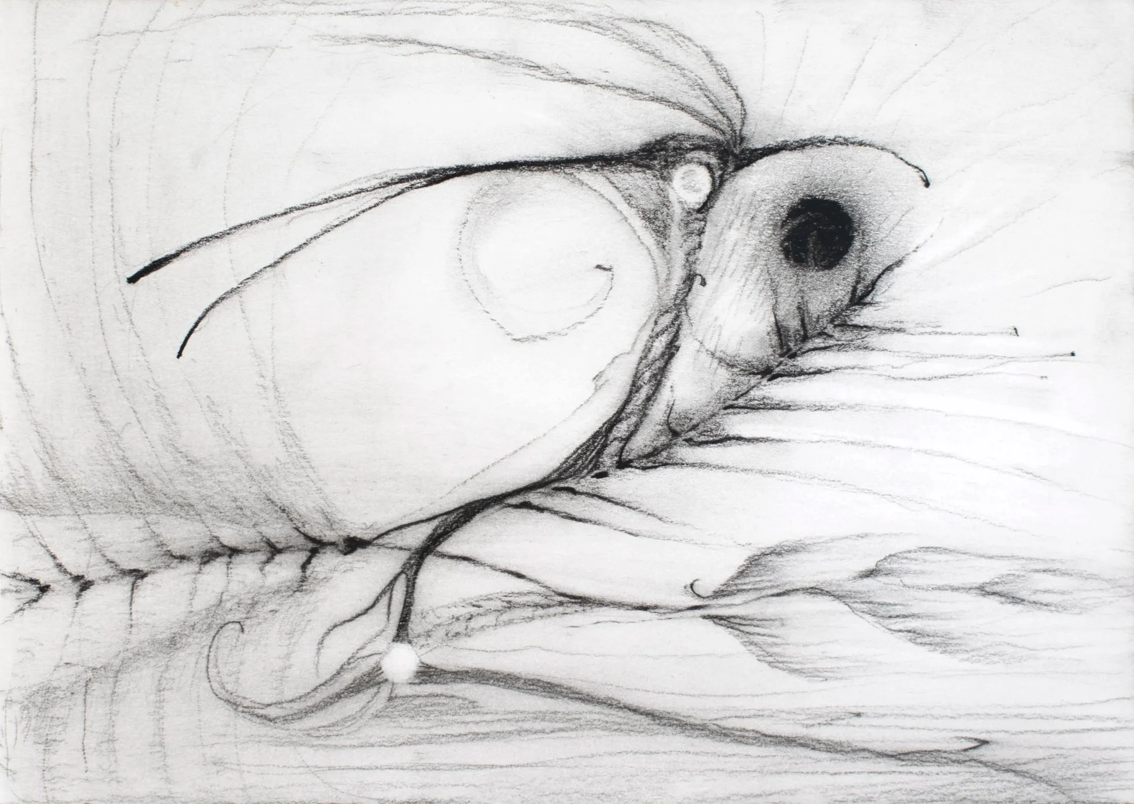 The Dissolving Myth, 2026. Pencil and charcoal on paper — 14.8 x 21 cm