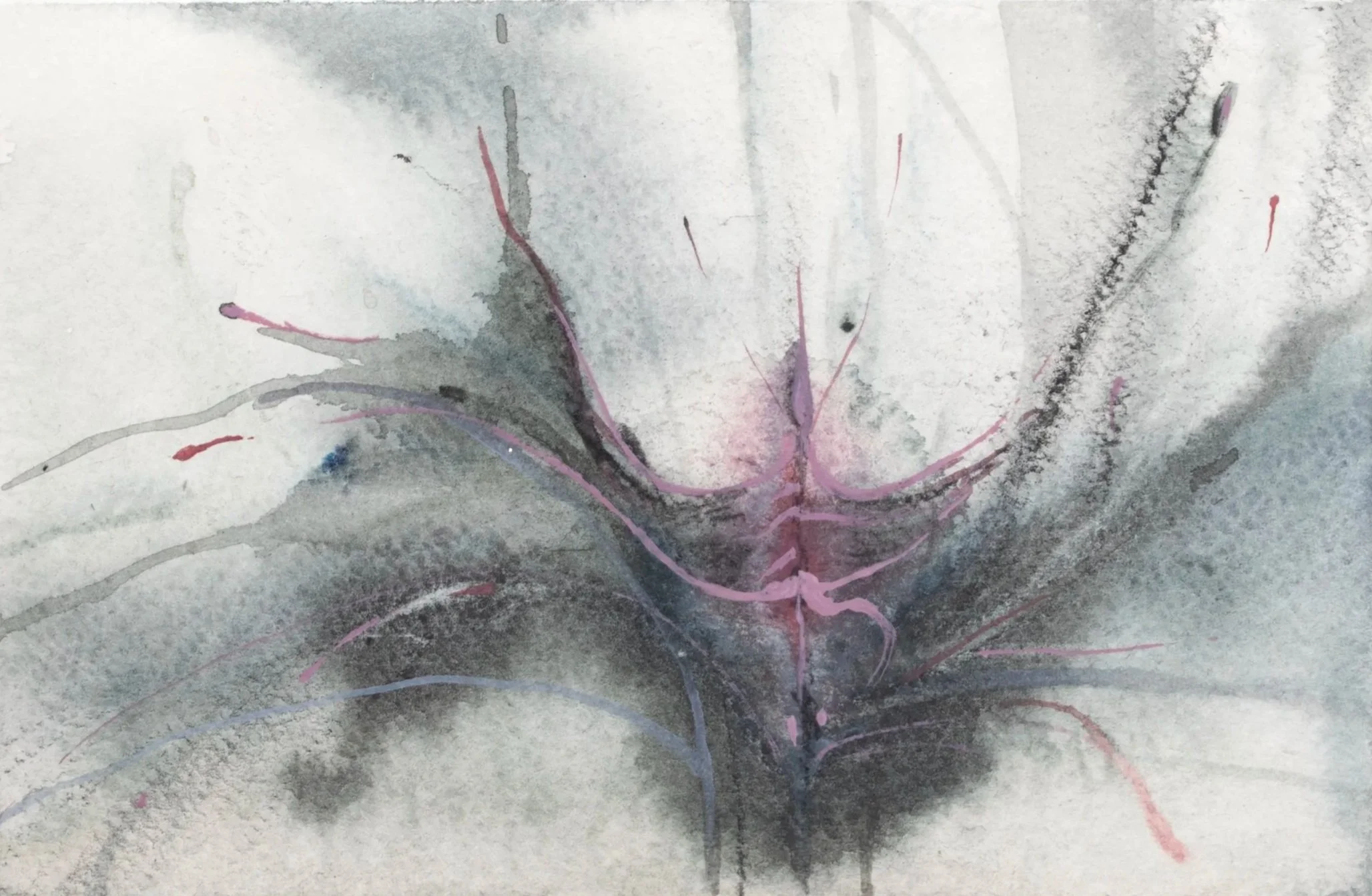 Organismic, 2026. Watercolour and charcoal on paper — 10 x 14.8 cm