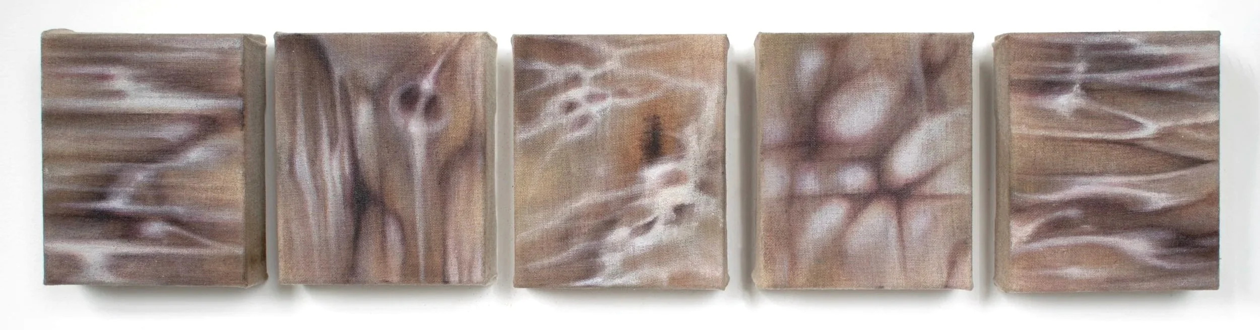 Sacred, 2026. Oil on linen — Five Panels 12 x 10 cm each, 12 x 50 cm 