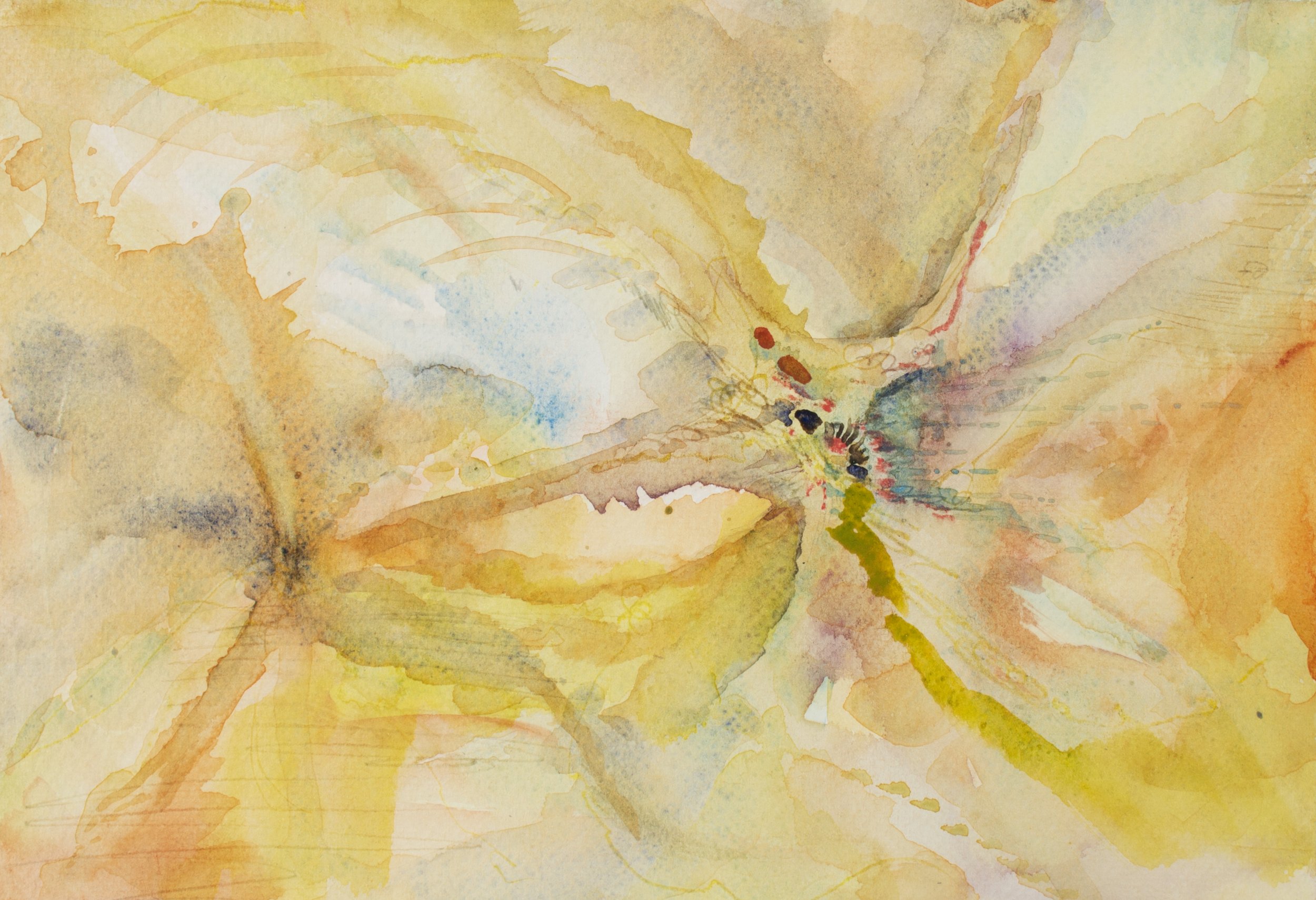 Ruminant, 2025. Watercolour and pencil on paper — 29.6 x 21.4 cm