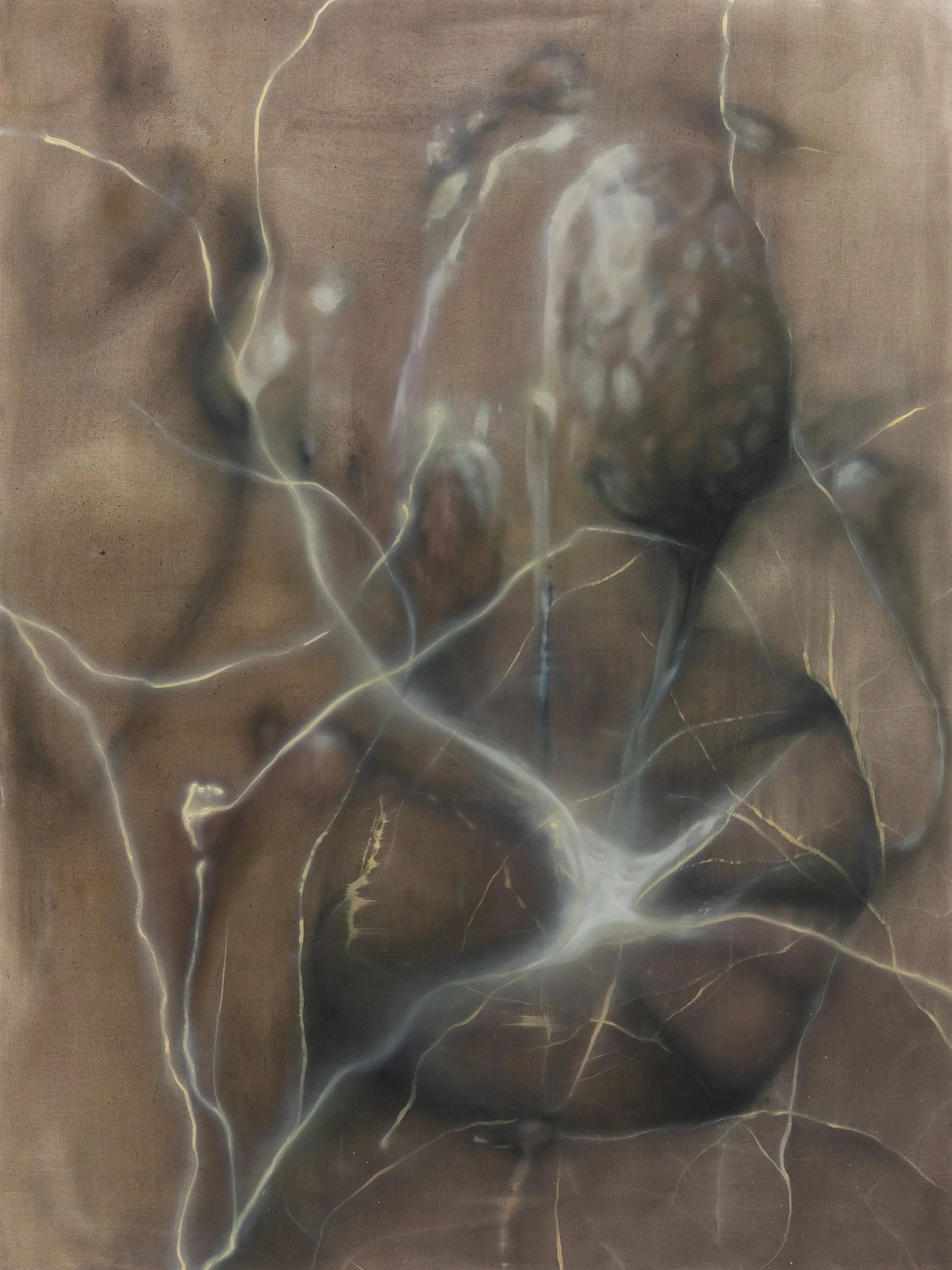 Specimen 1: Entangled at First Blush, 2025. Oil on linen — 200 x 150 cm
