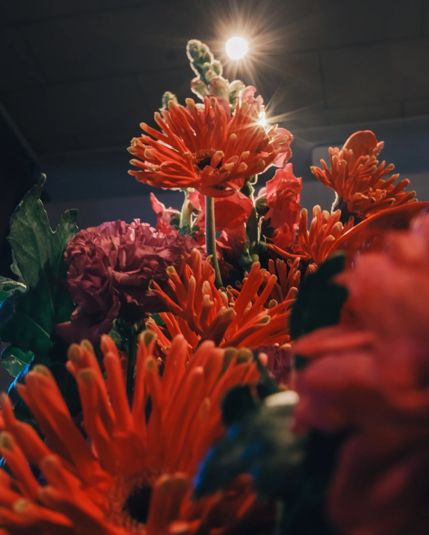 untitled-47.jpg