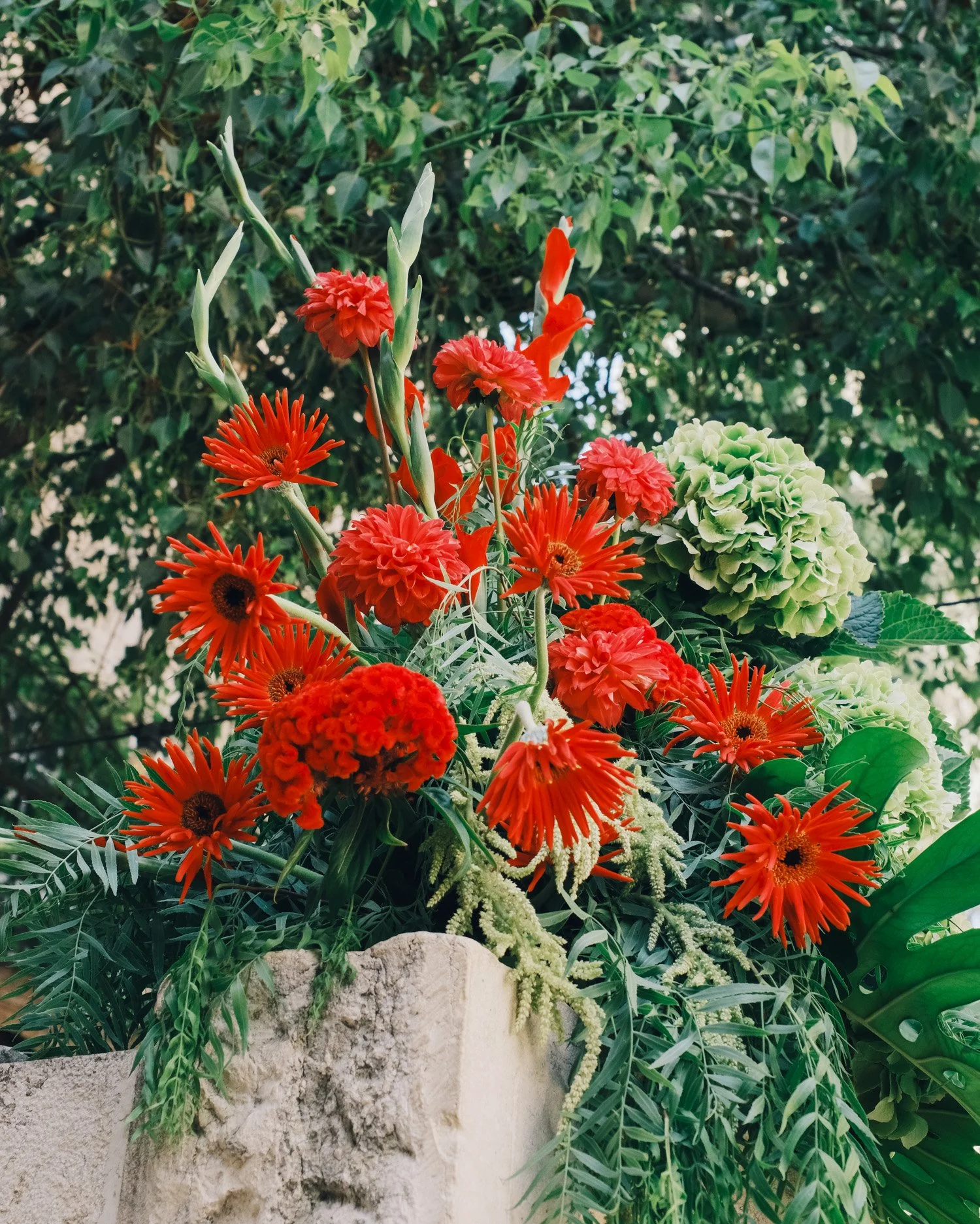untitled-205.jpg