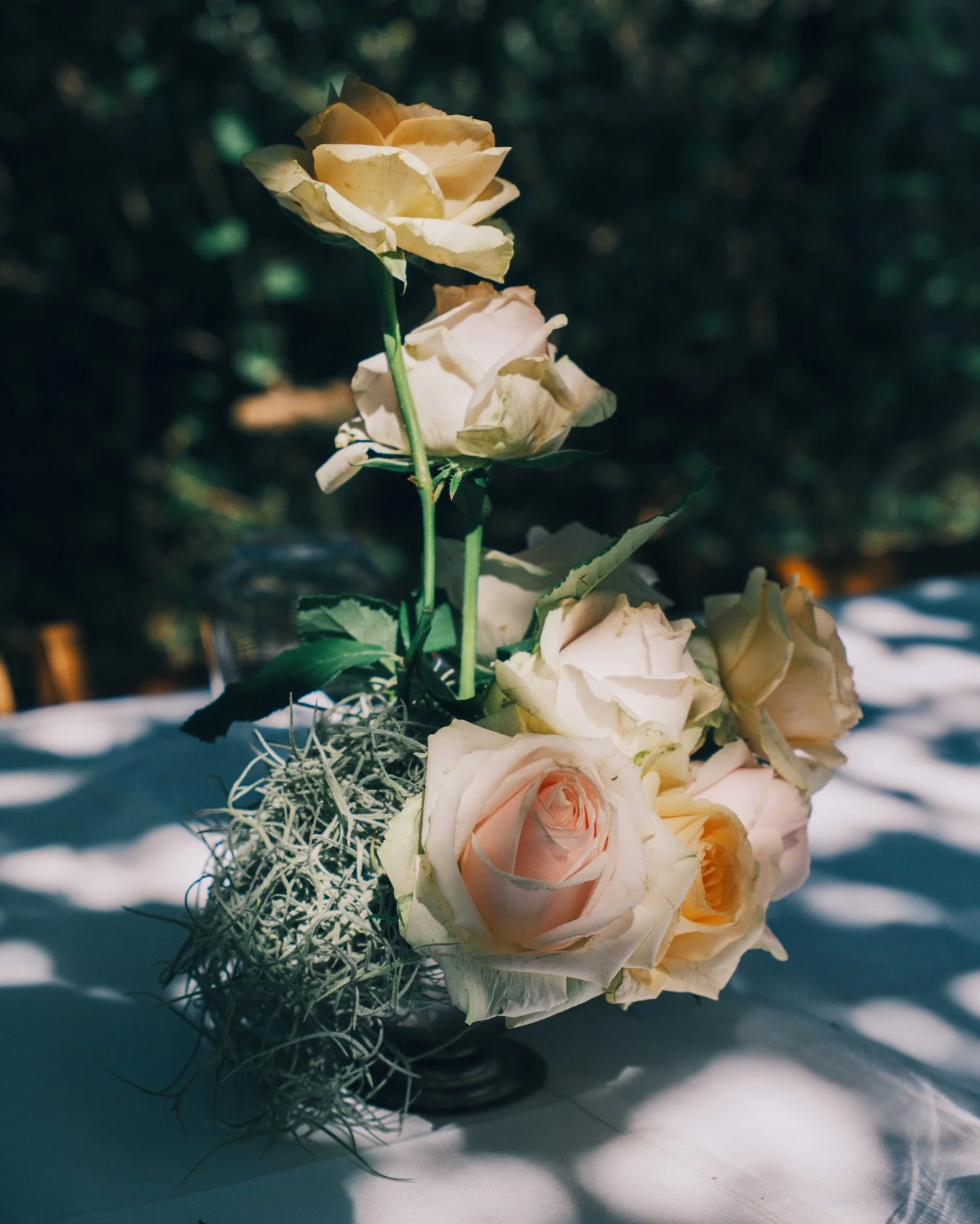 untitled-244.jpg