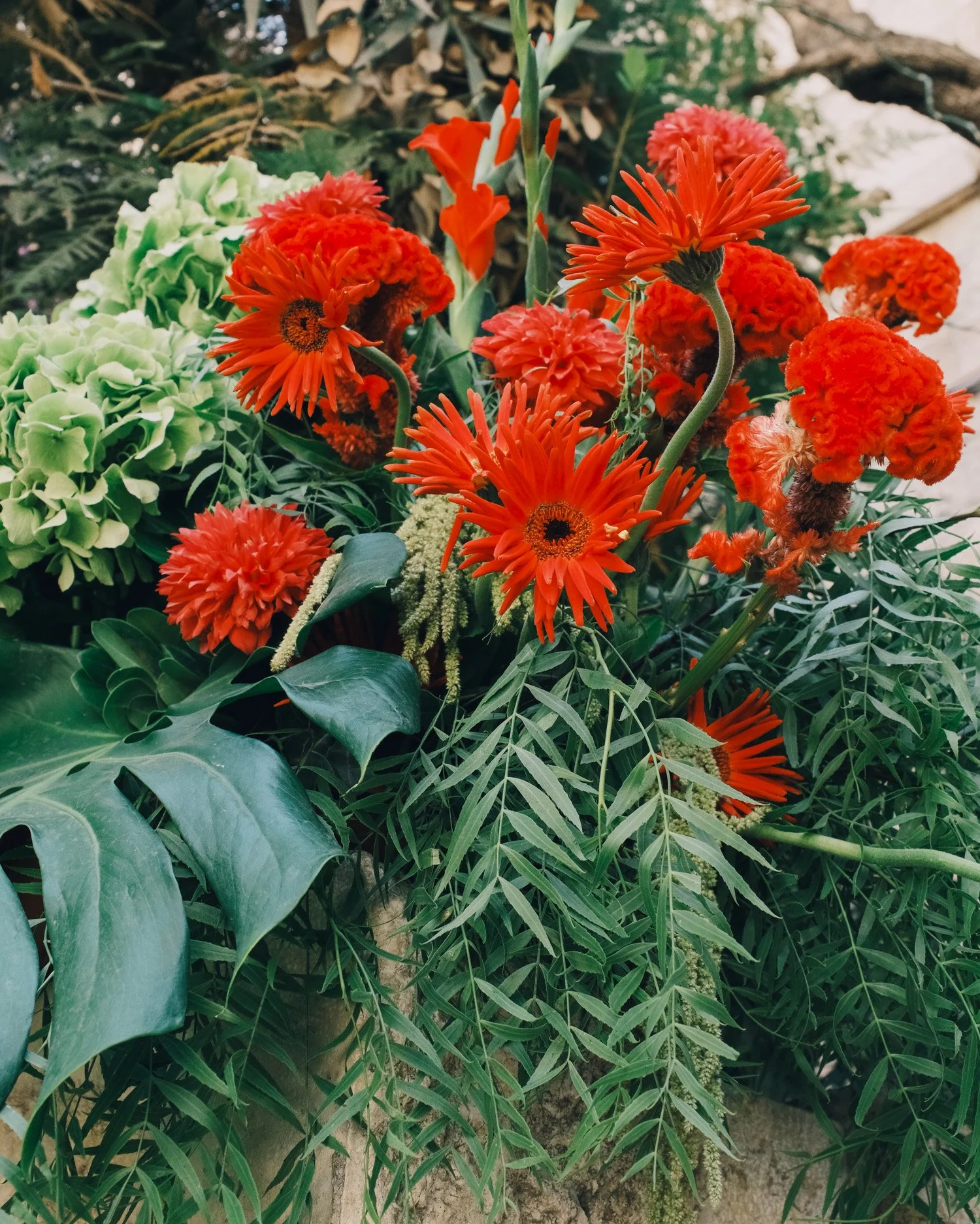 untitled-206.jpg