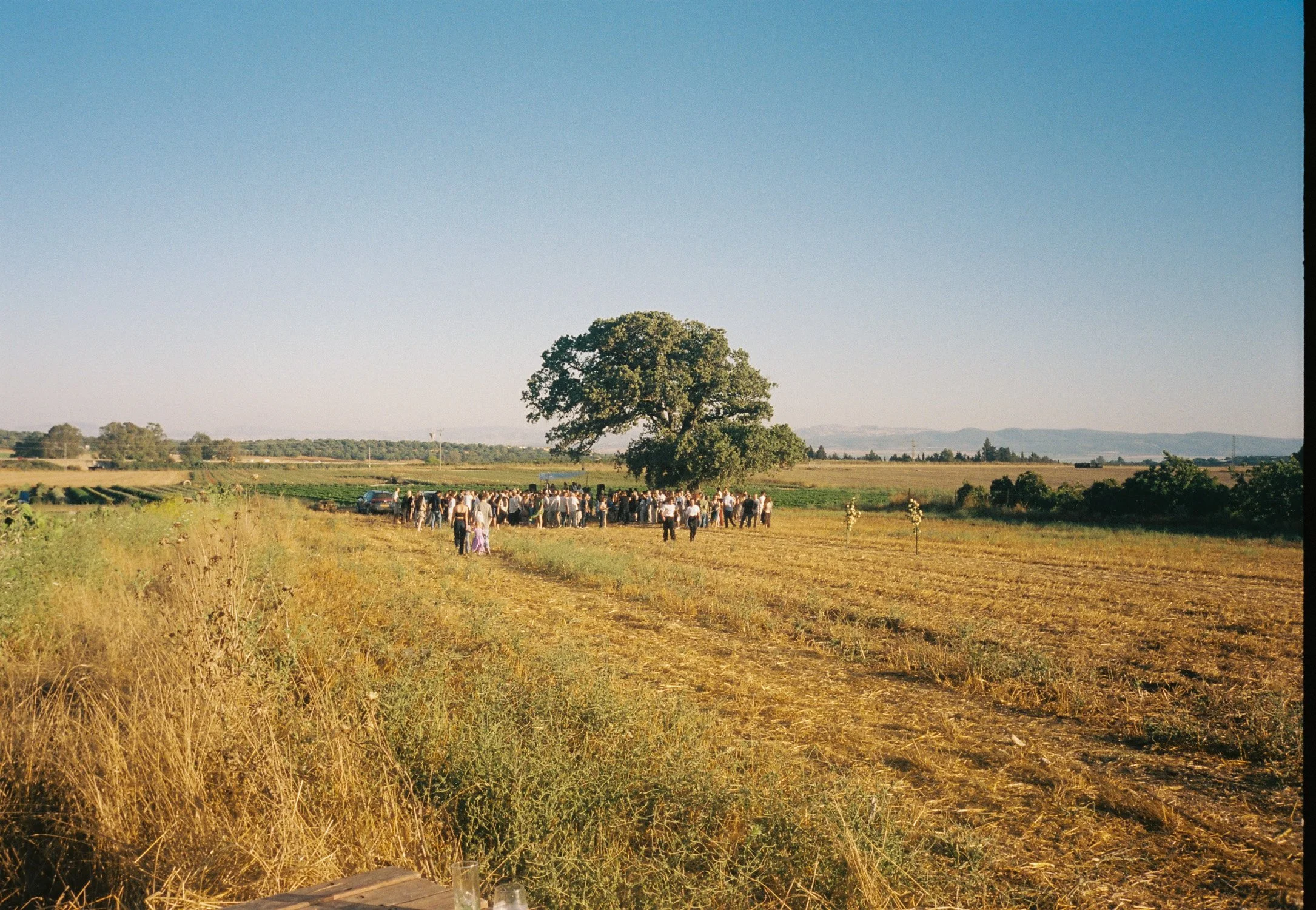 untitled-45.jpg