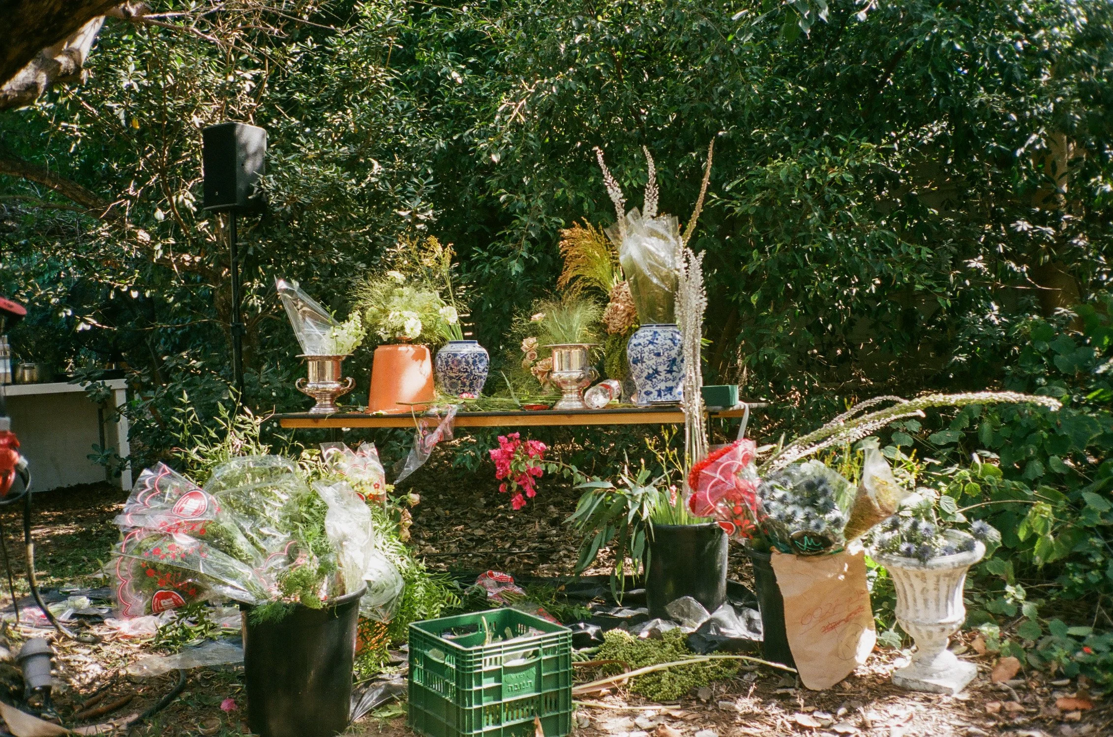 untitled-54.jpg