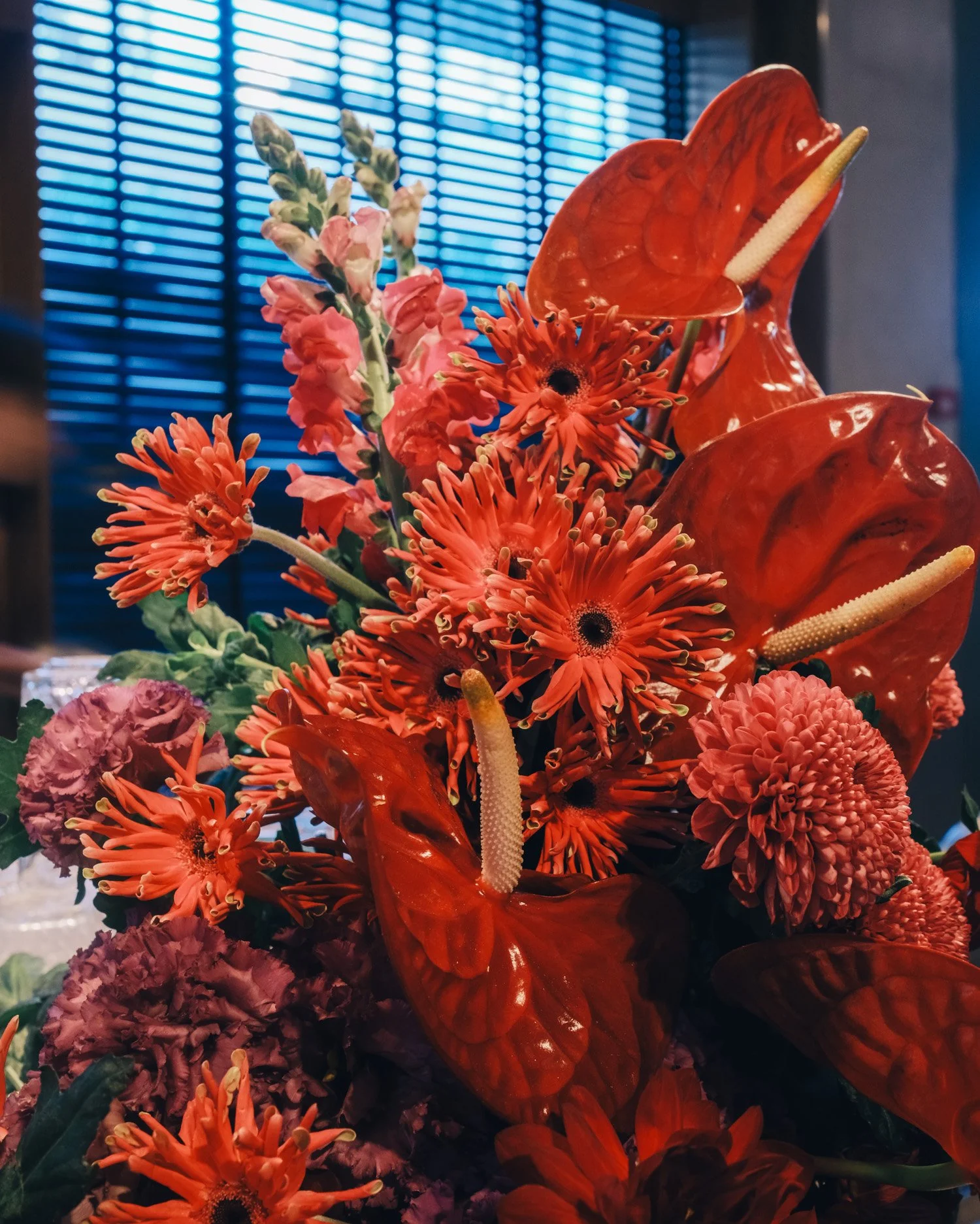 untitled-42.jpg