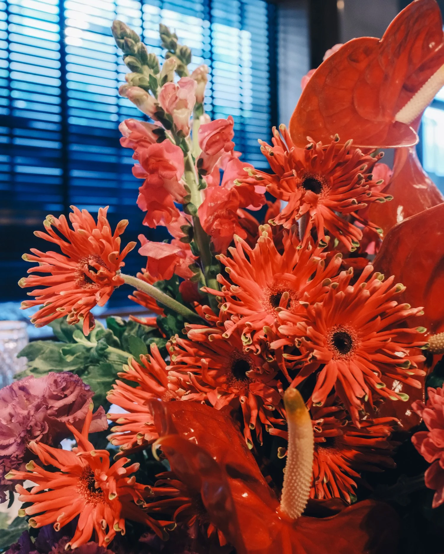 untitled-43.jpg