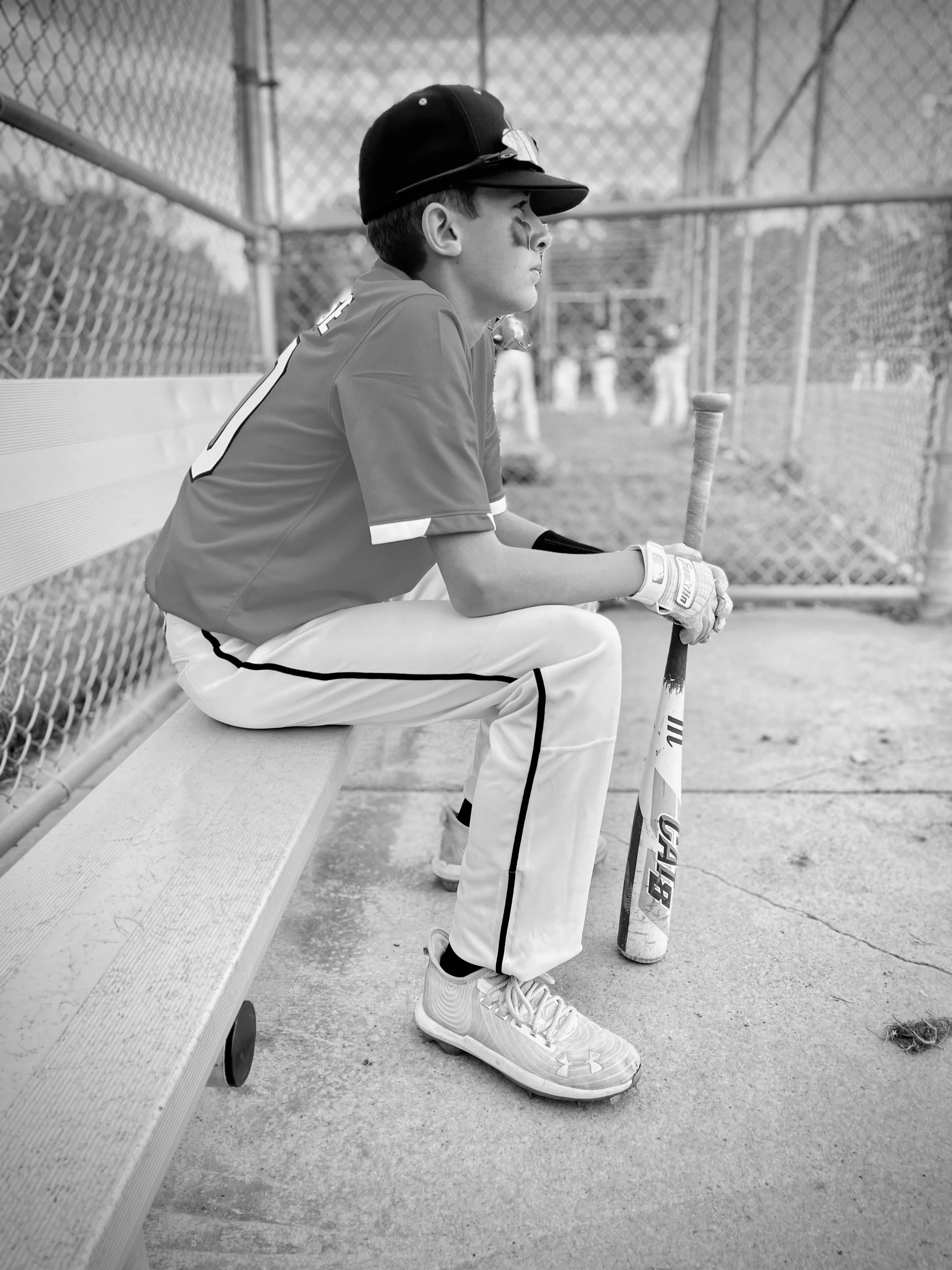 Contact Us — White Bear Lake Baseball