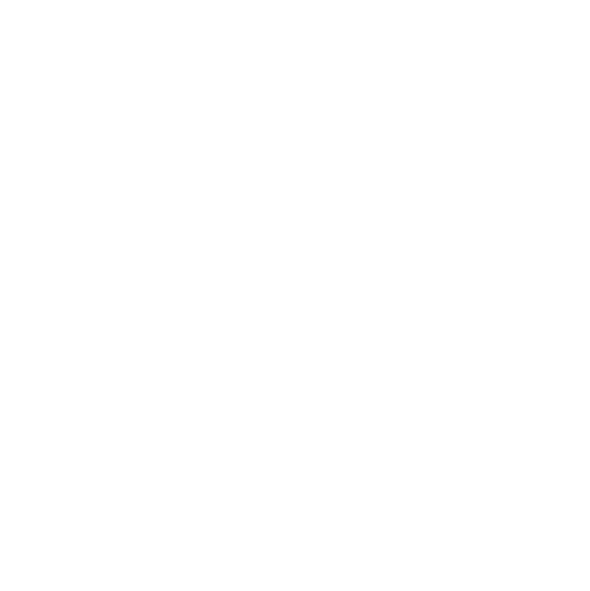 Neat Acoustics Logo