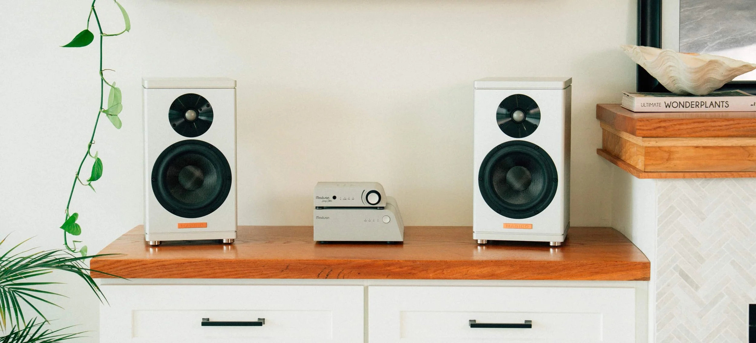 A wooden sideboard with two Magico speakers and a Wattson Audio music system between them in a room. There are green plants on the left and a stack of books with a shell on top on the right.
