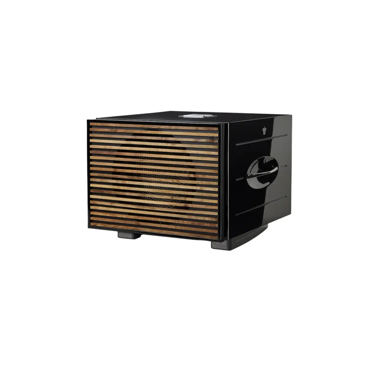 REL Carbon Special Black Label Subwoofer