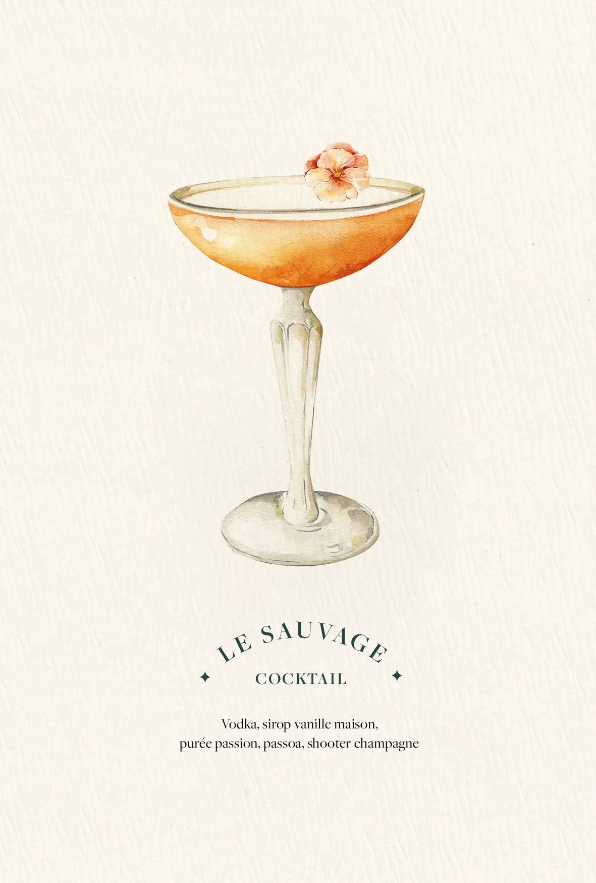 CARTESCADEAUX-LACOUR5.jpg