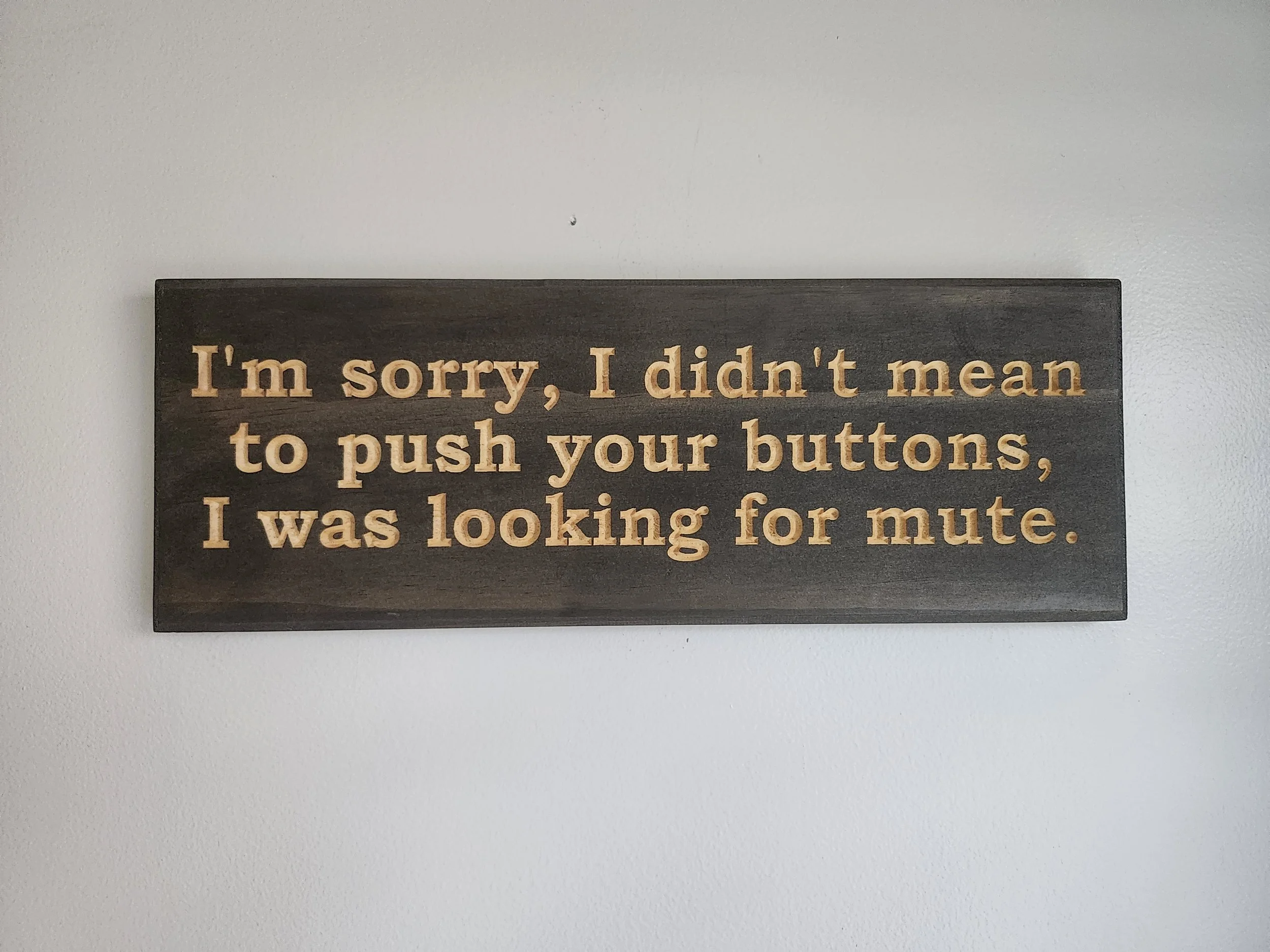 "I'm Sorry, I Didn't Mean to Push Your Buttons, I Was Looking for Mute"