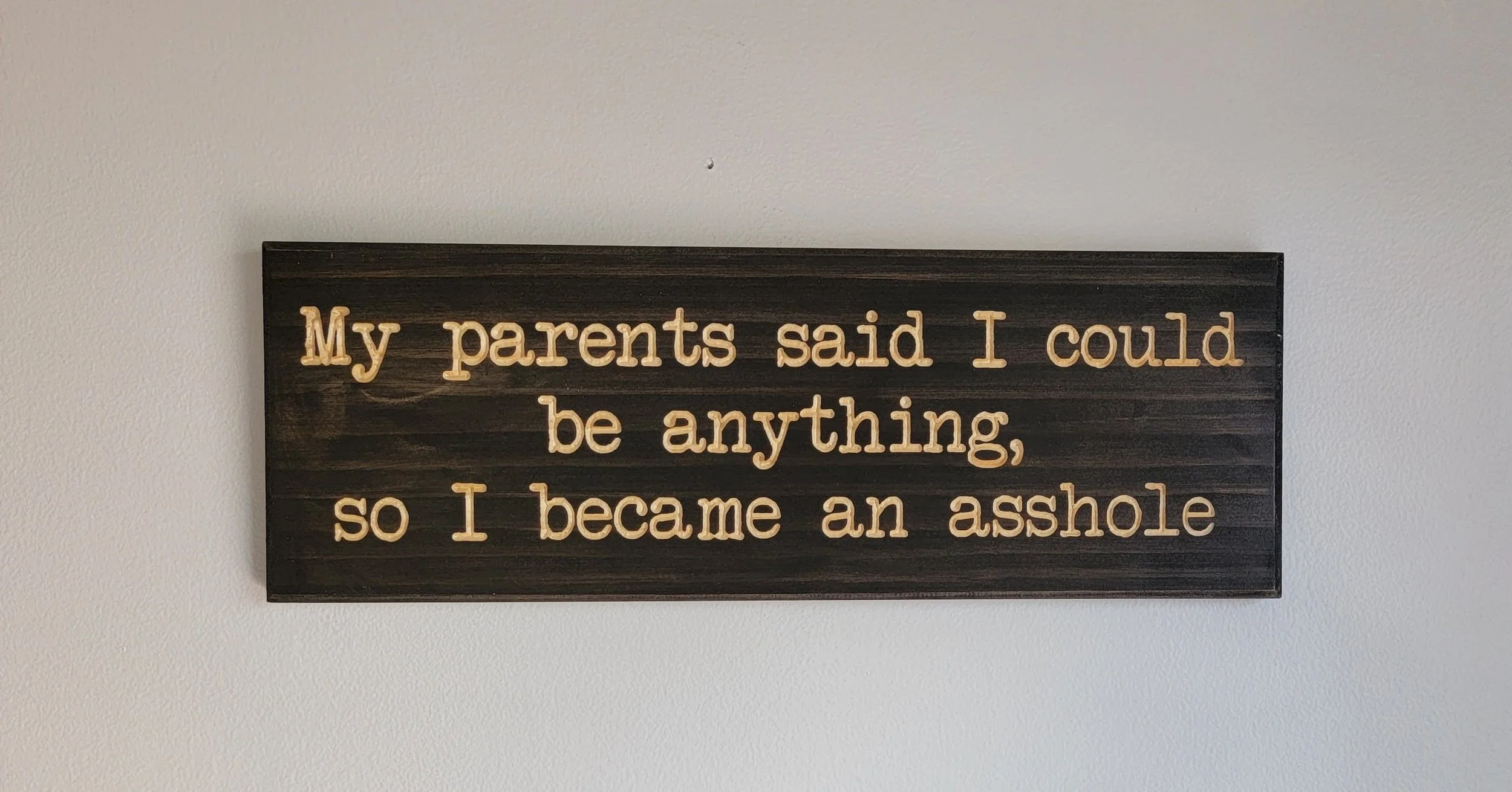 Humorous 'You Can Be Anything' Sign | Custom Wooden Decor — Georgia ...