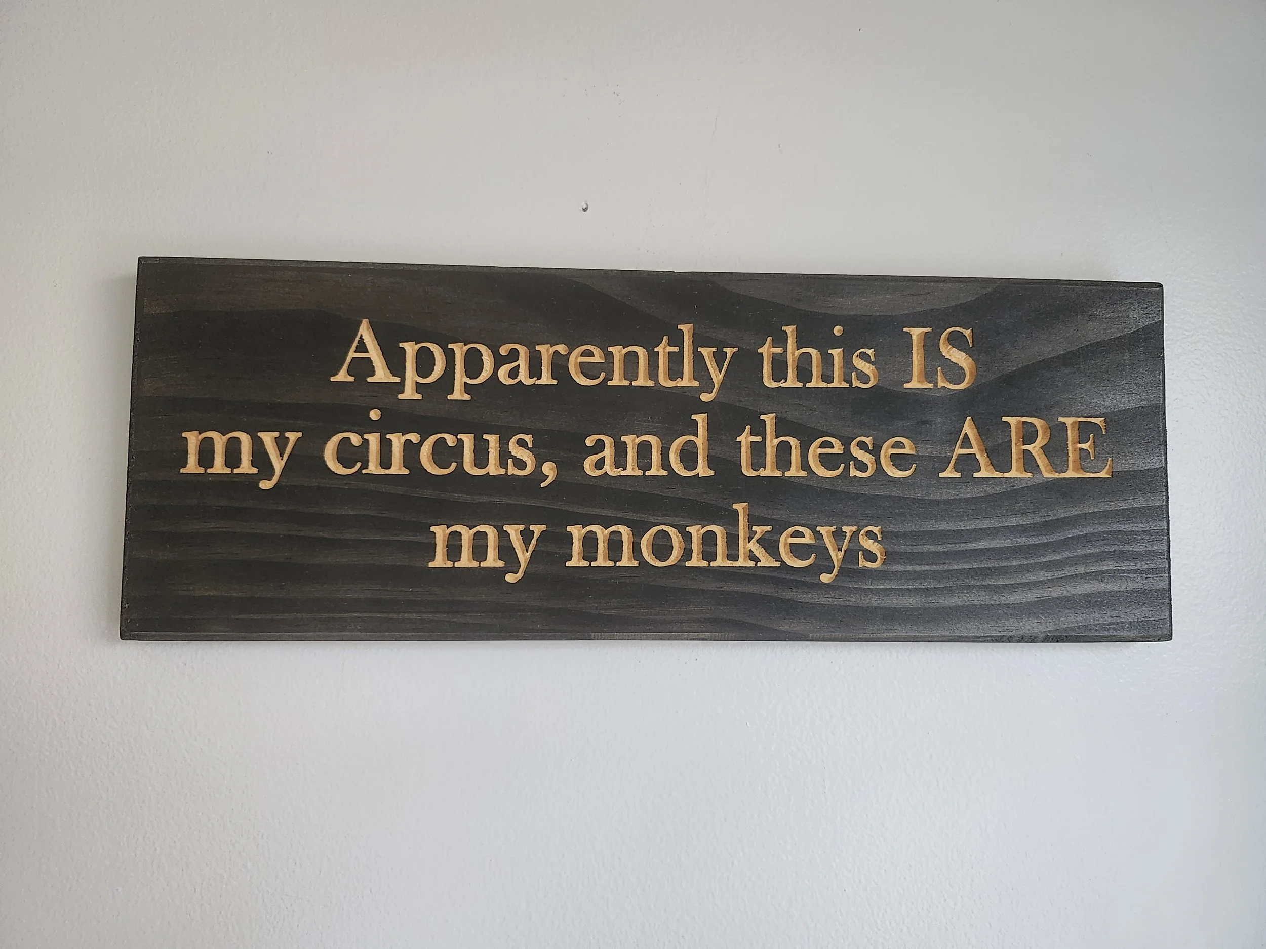Apparently this IS my circus
