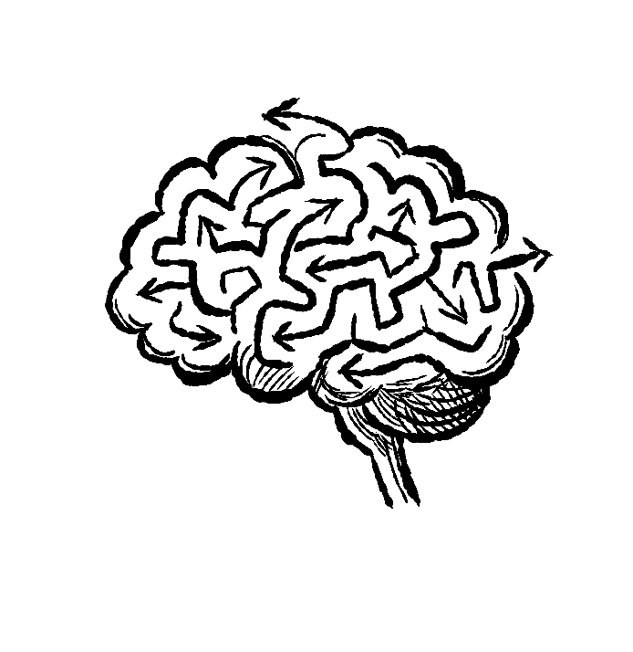 Illustration of a human brain with interconnected pathways and arrows in a sketch style.