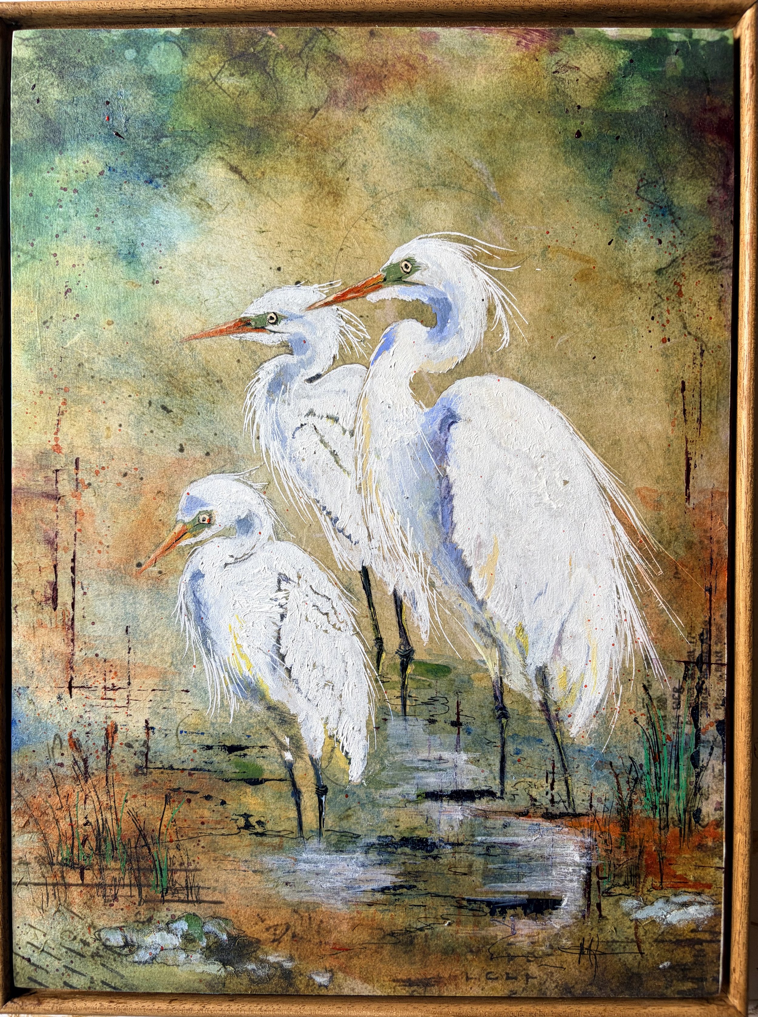 A family of white Egrets by the waterside, possibly encouraging the youngster to catch fish.