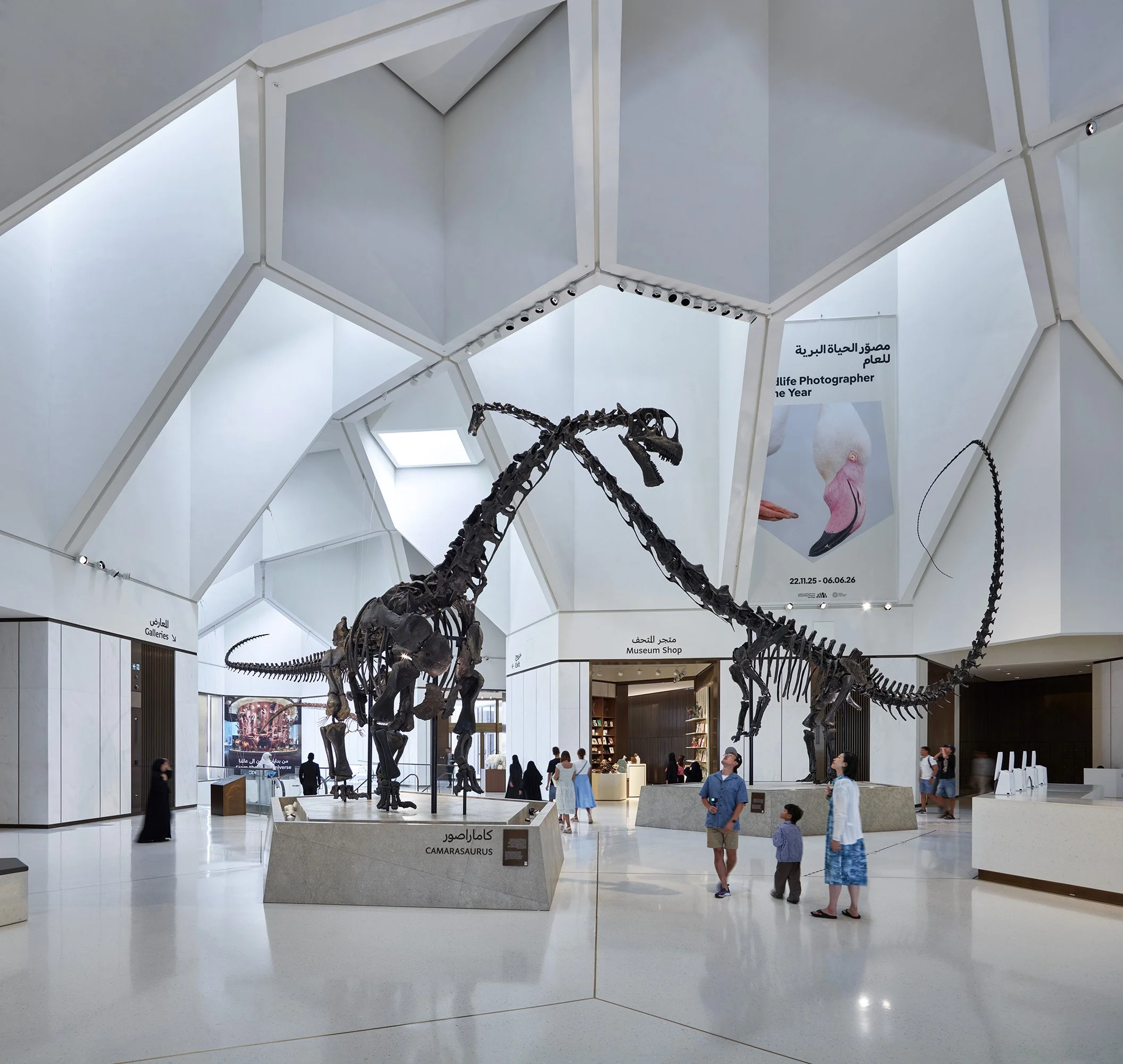 NHM Atrium Close-up 1.jpg