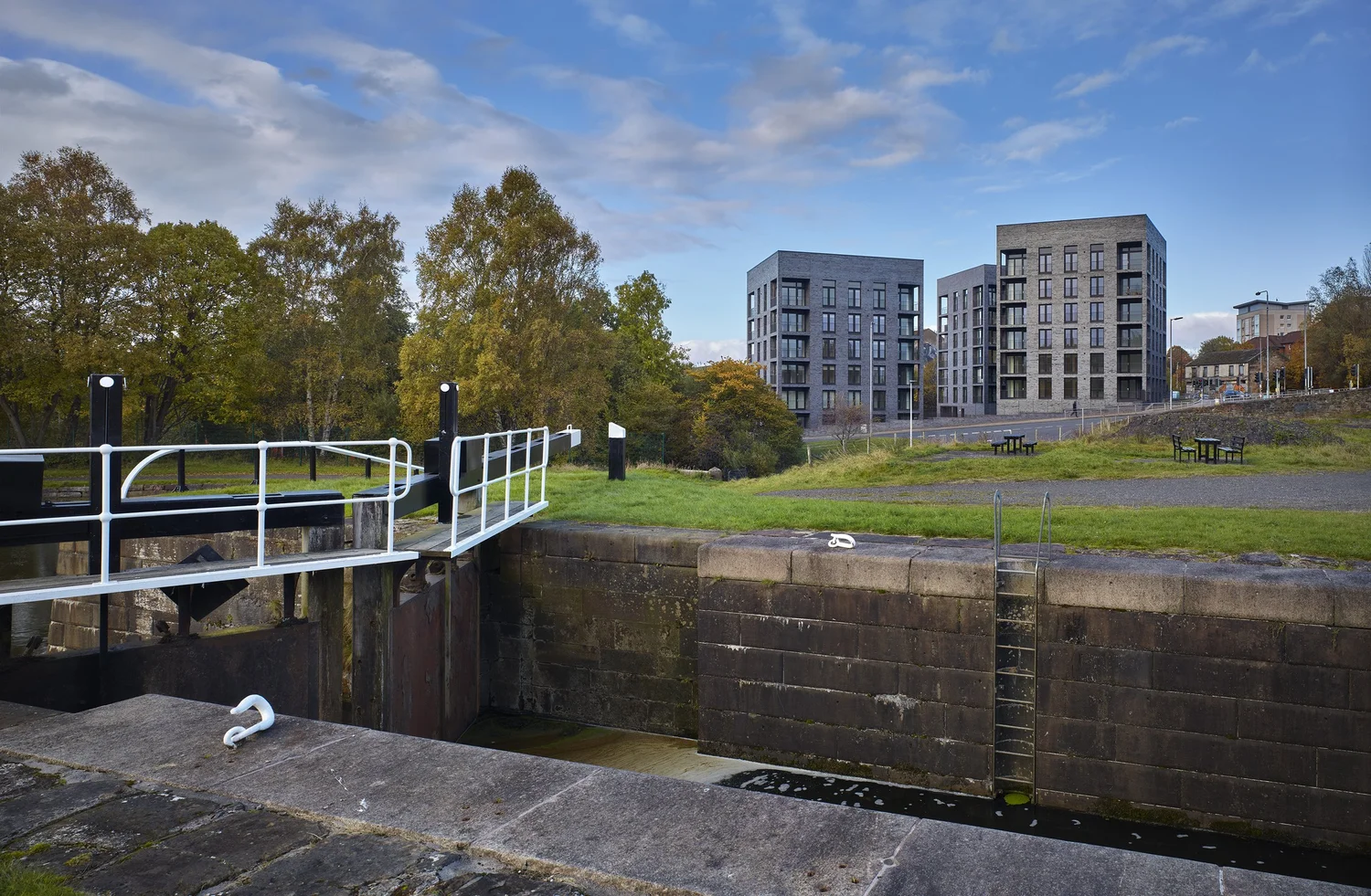 Botany Corner — Andrew Lee