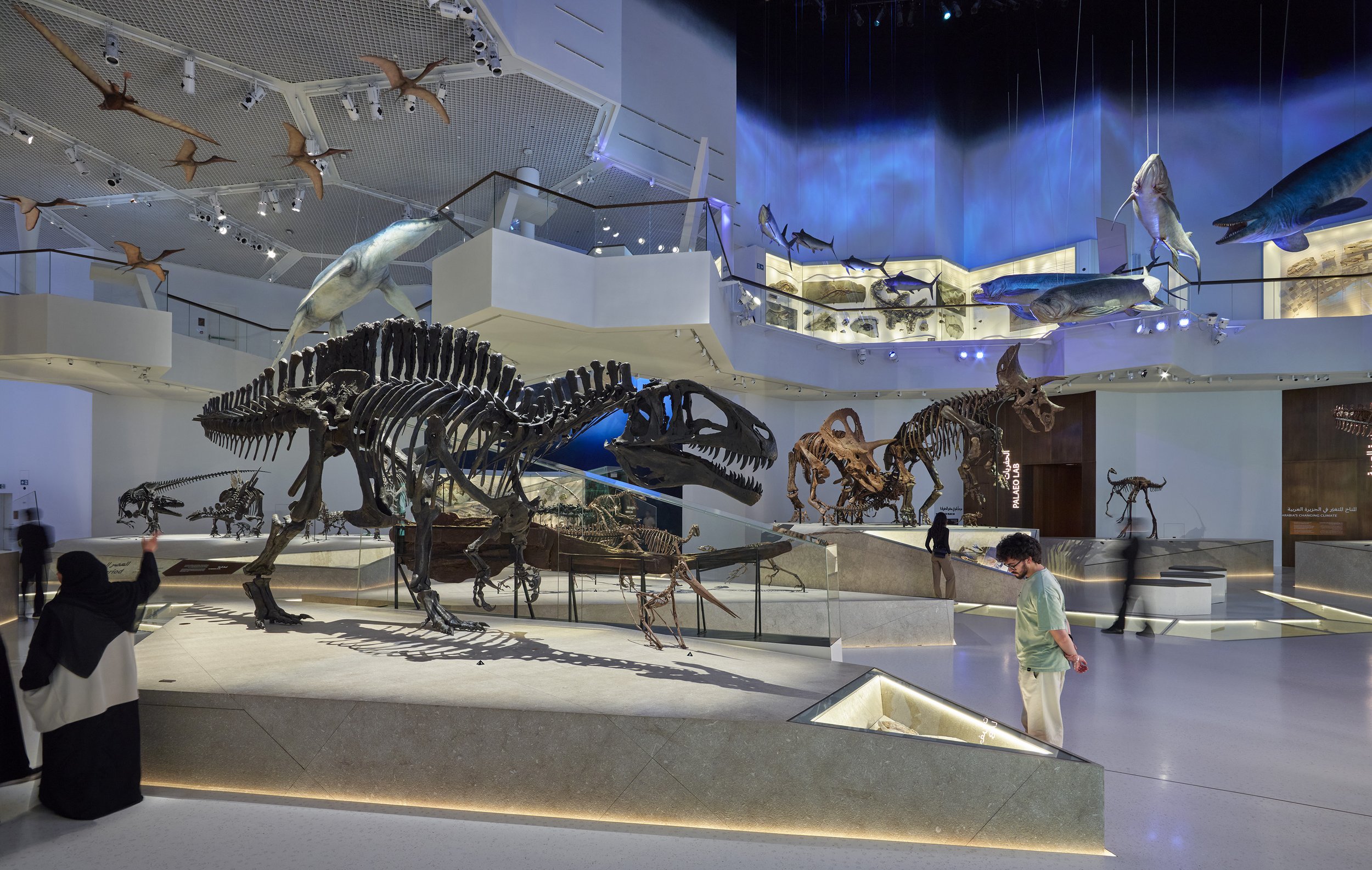 NHM Act 1A Close-up 3.jpg