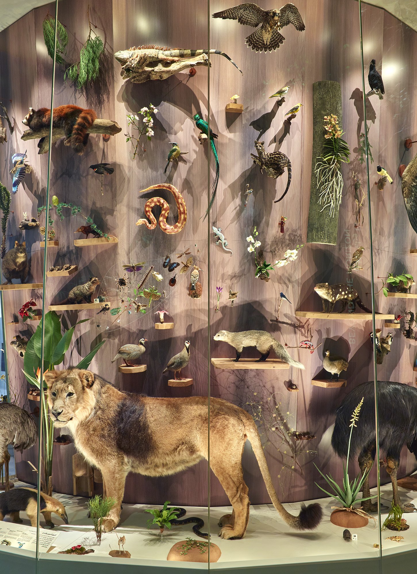 NHM Act 2 Close-up 5.jpg