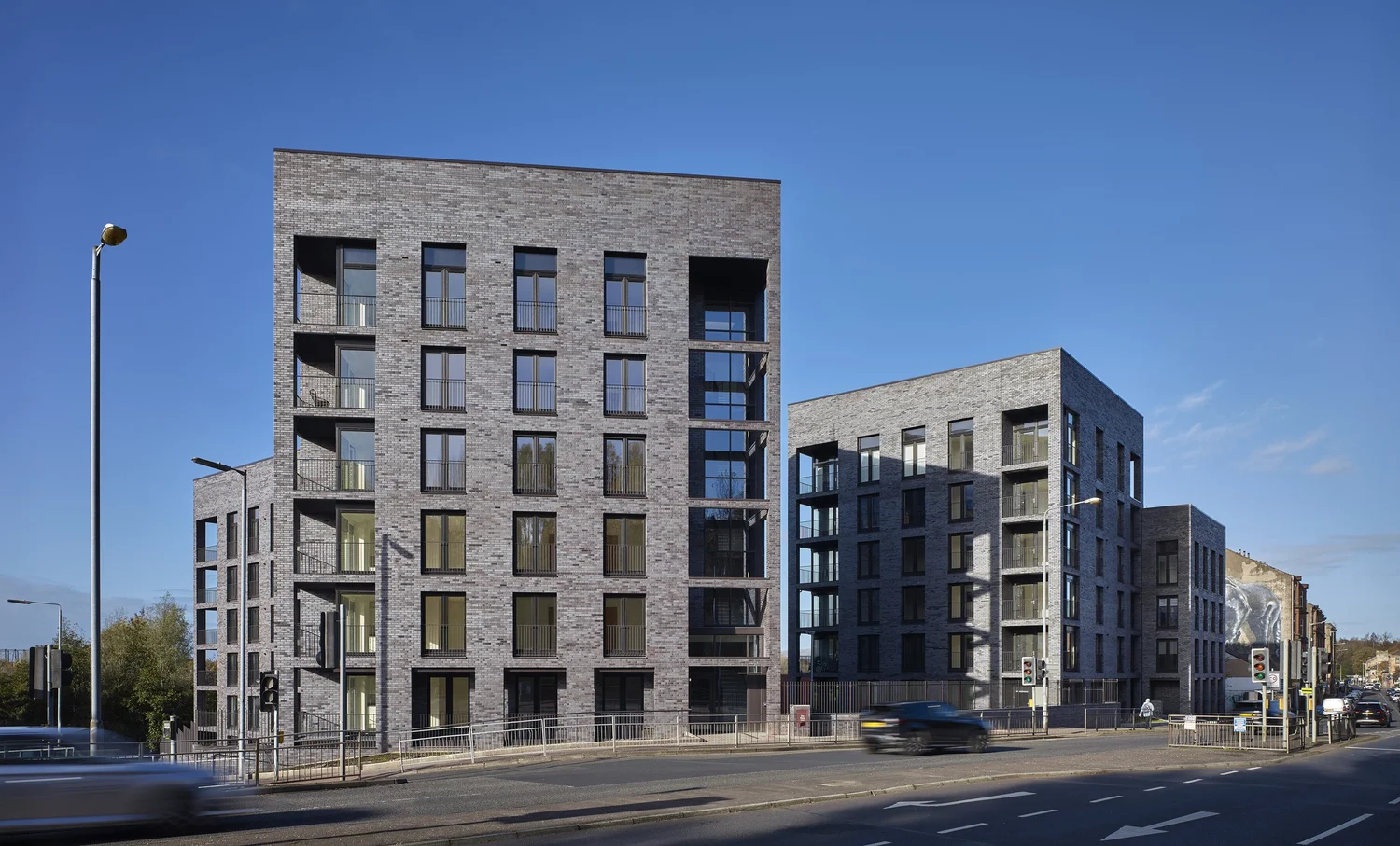 Botany Corner — Andrew Lee