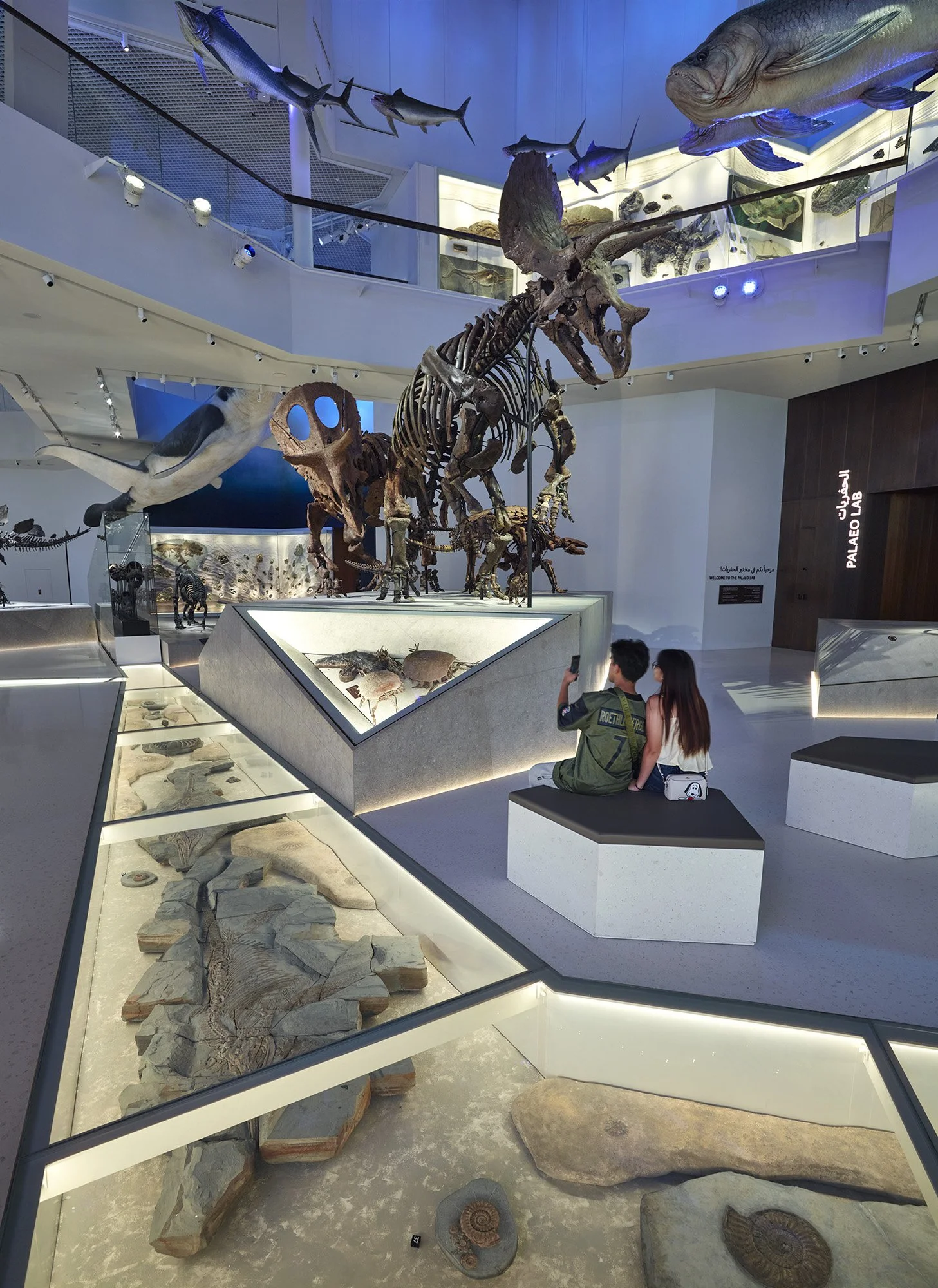 NHM Act 1A Close-up 5.jpg