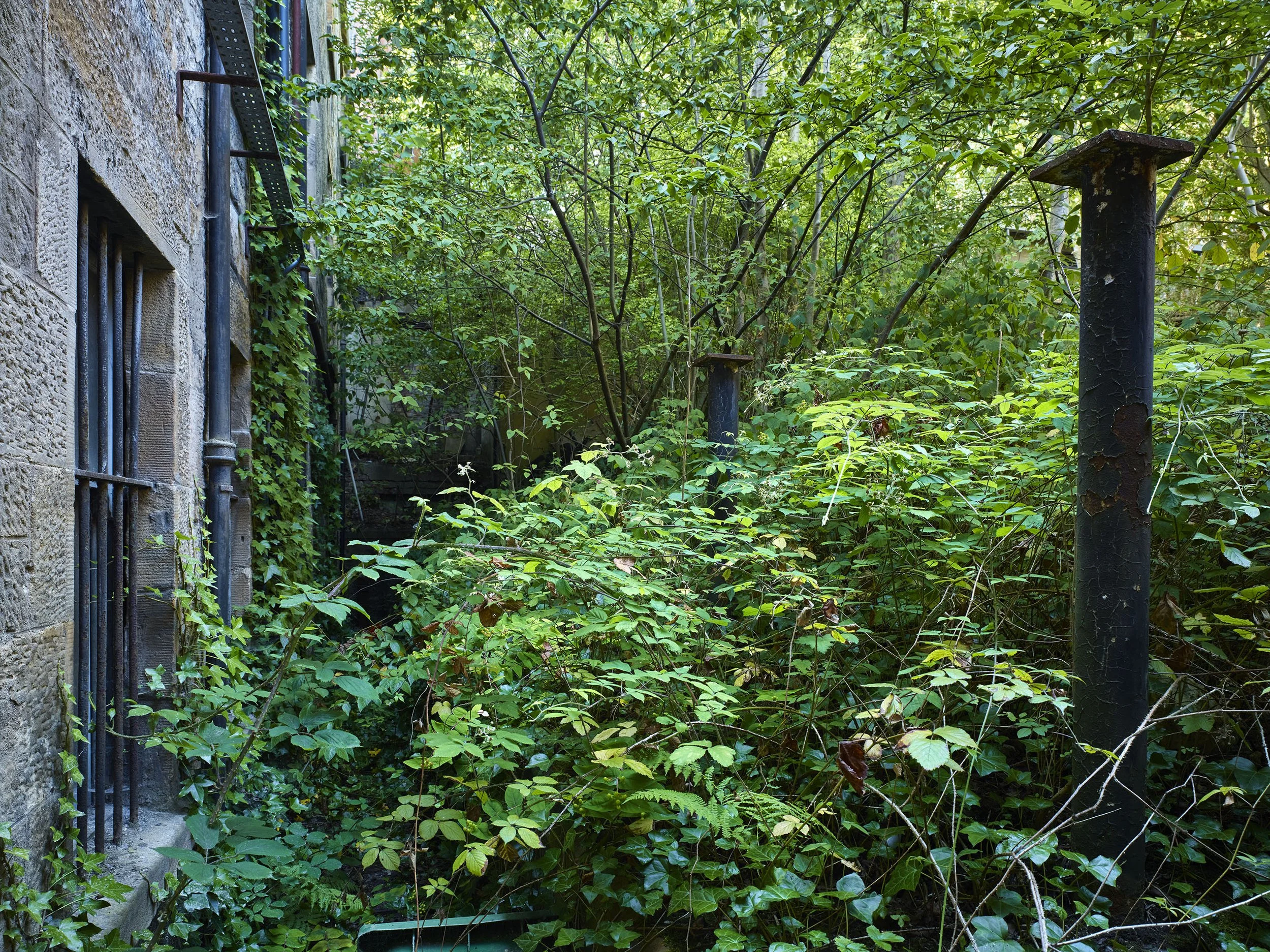 Richmond Building 14.jpg