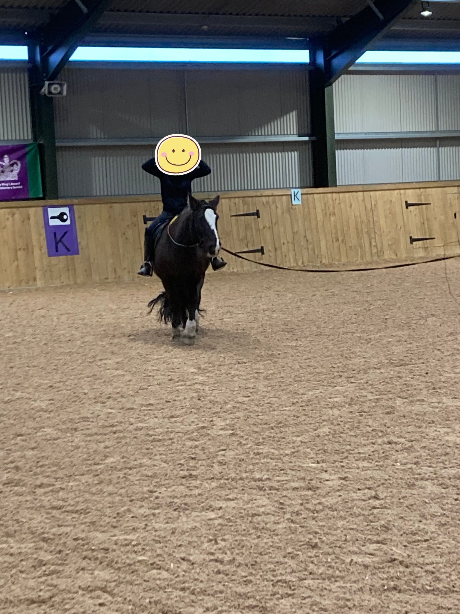 Untitled design (11).png