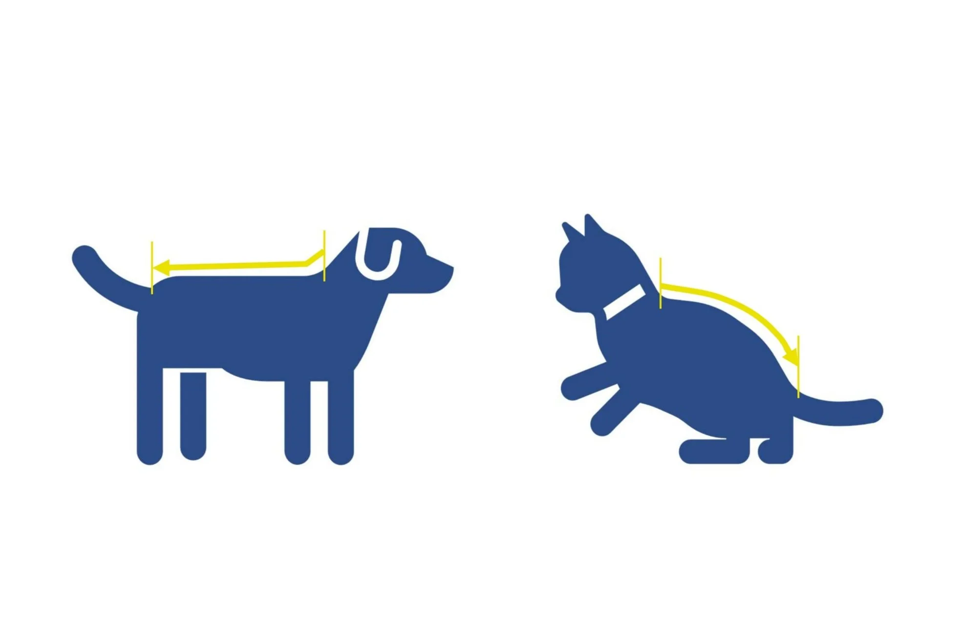 Measure guide 3_page-0001.jpg