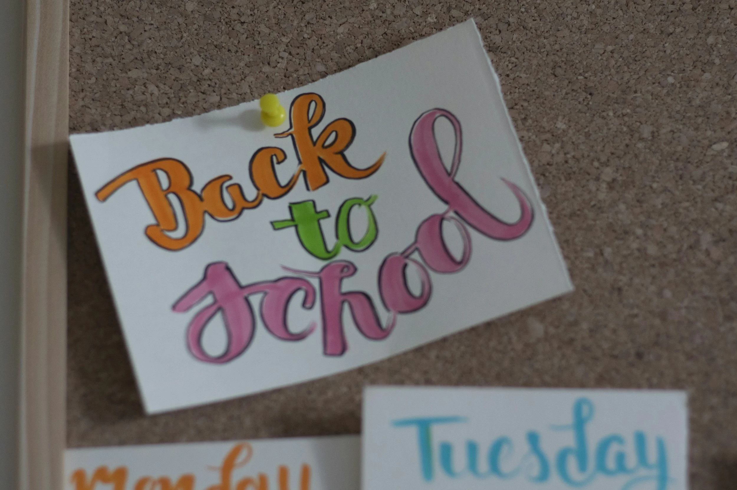 First Day of School