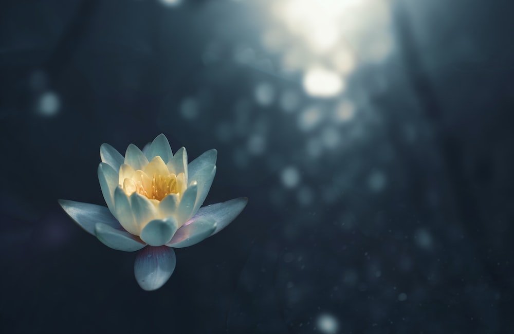 Finding light in darkness