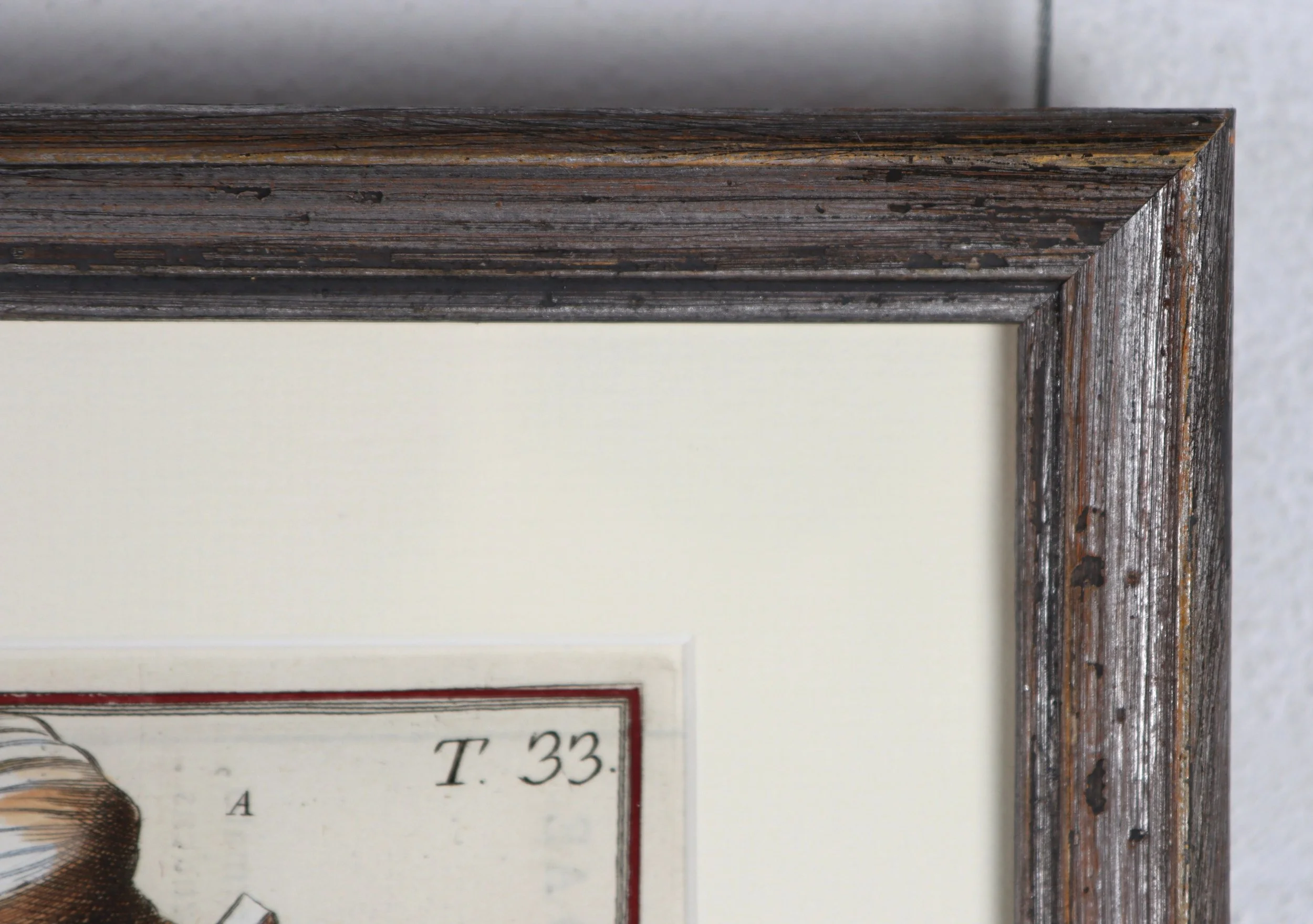 Gualtieri Seashells 2 Detail Pair 1b.JPG