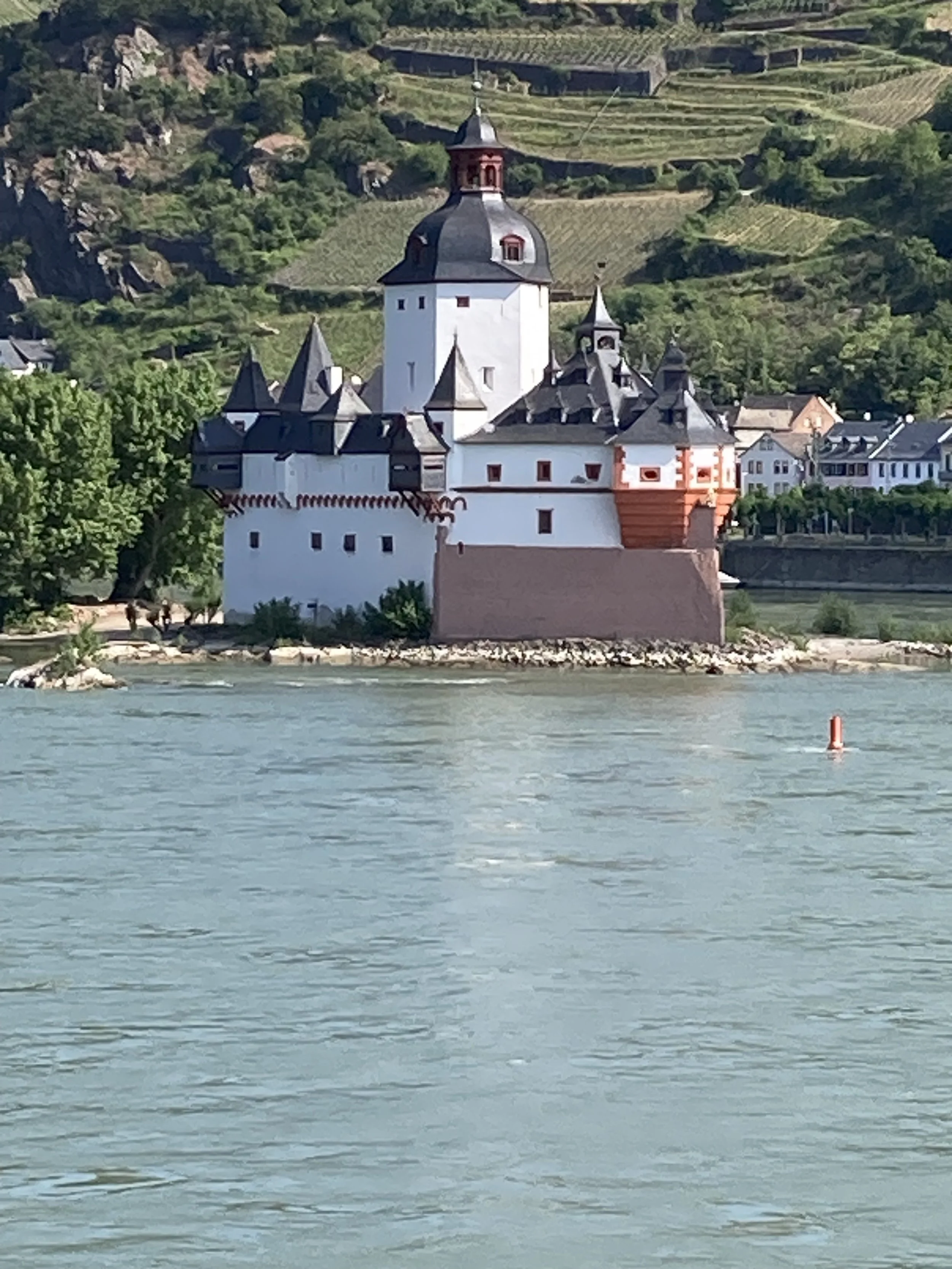 IMG_7733.JPG