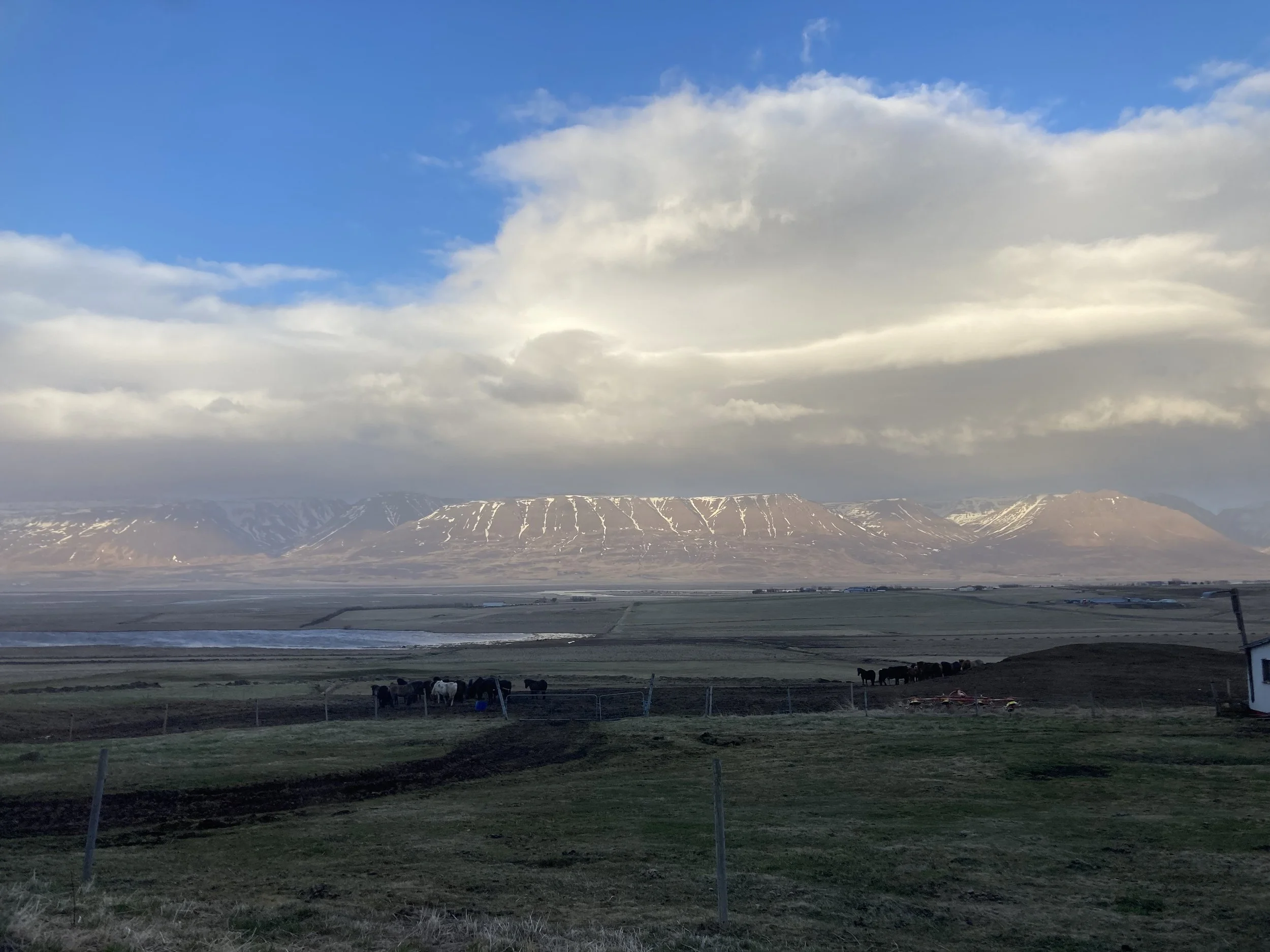 IMG_4807.jpeg