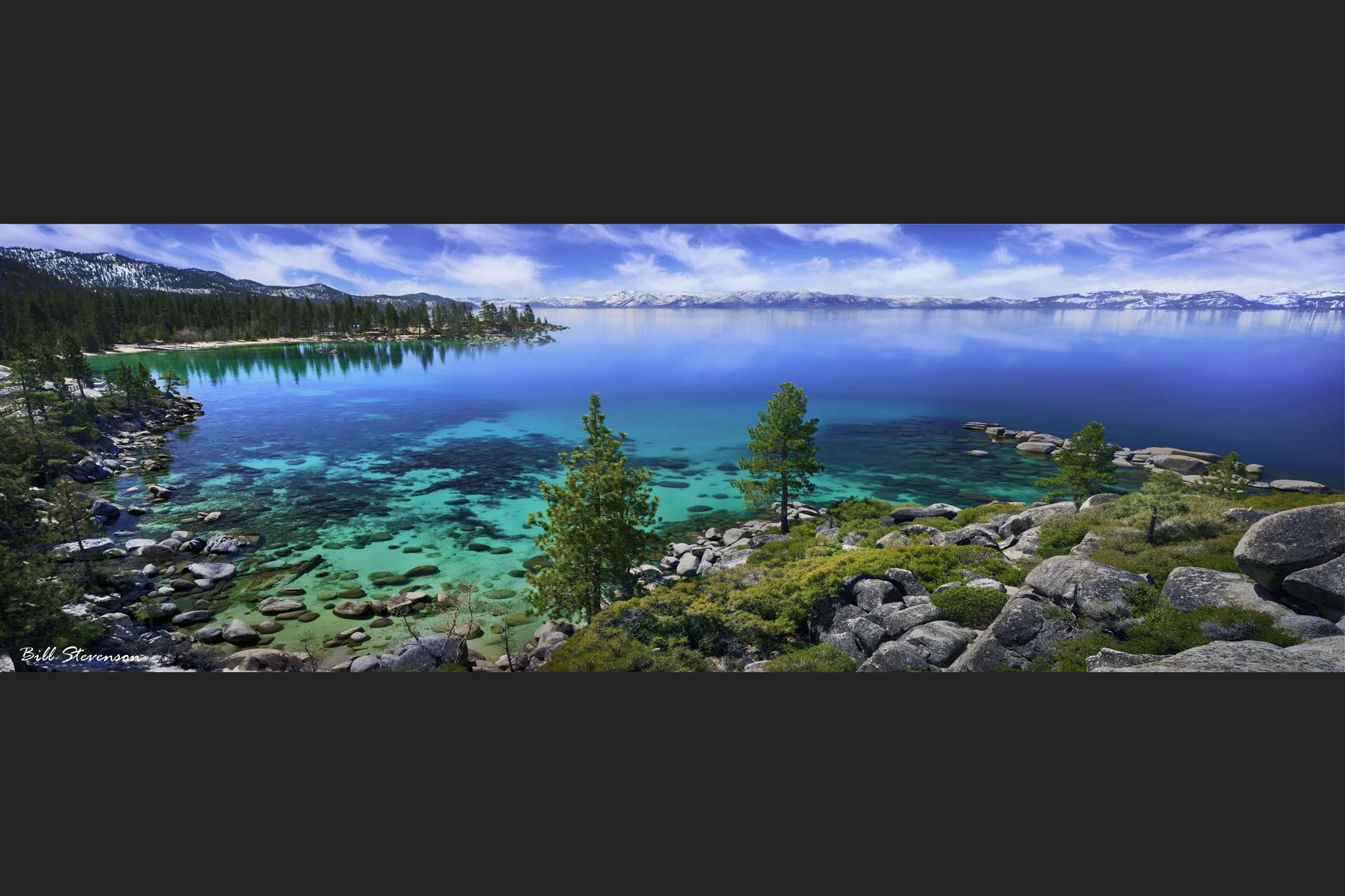 Euphoria - 24 X 72 Metal Print