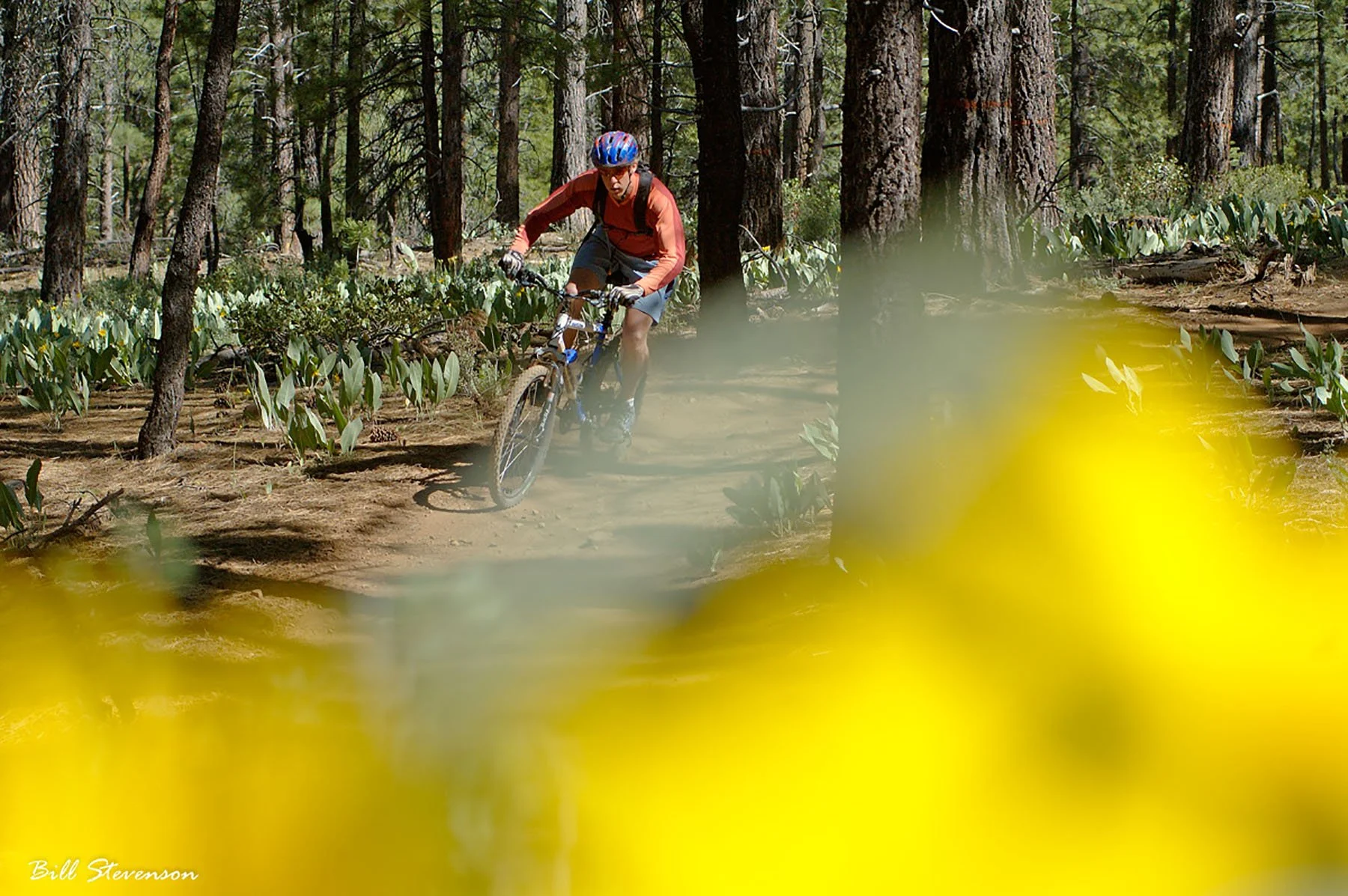 Royalty Free Biking Photo