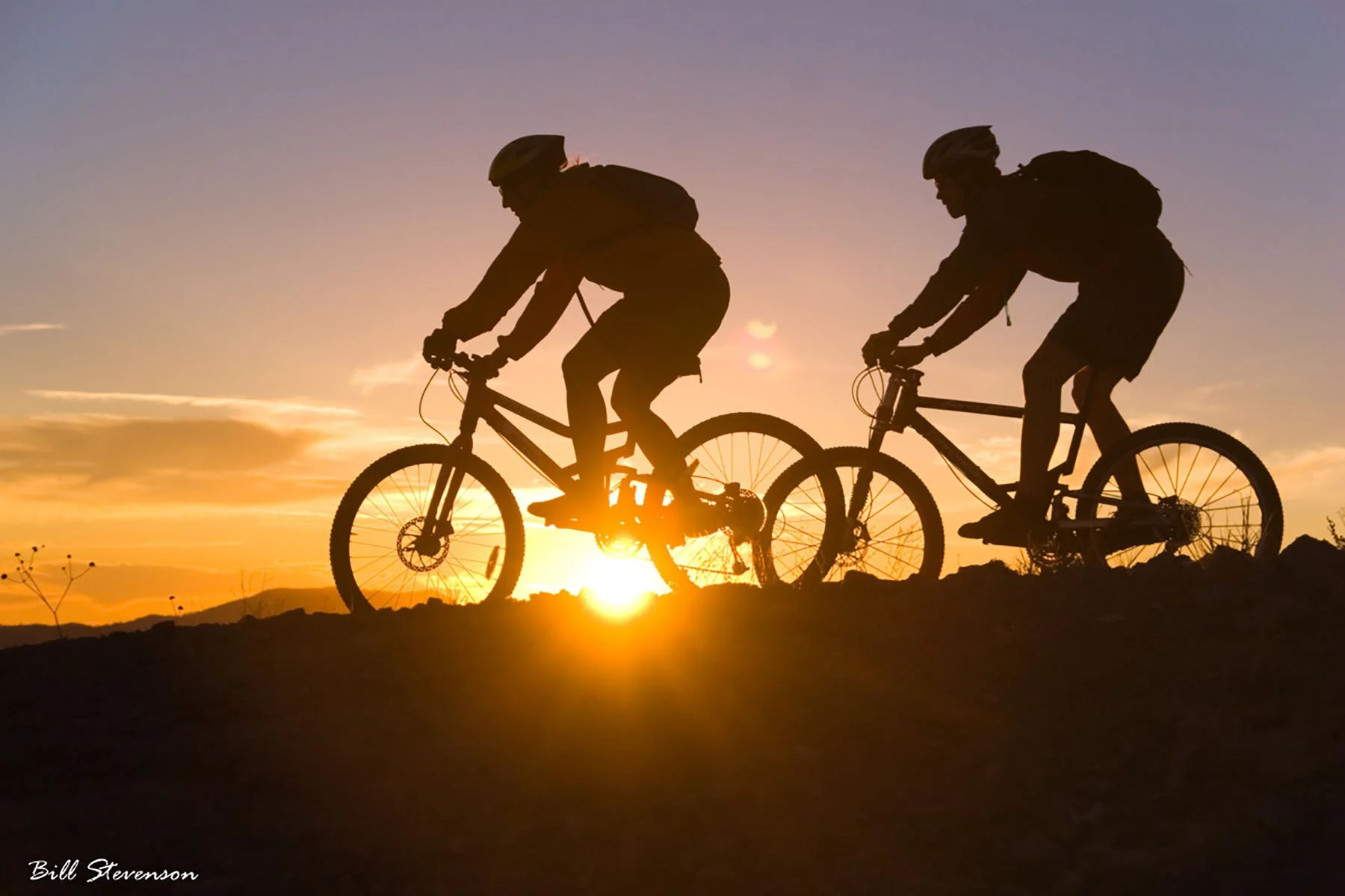 cyclists