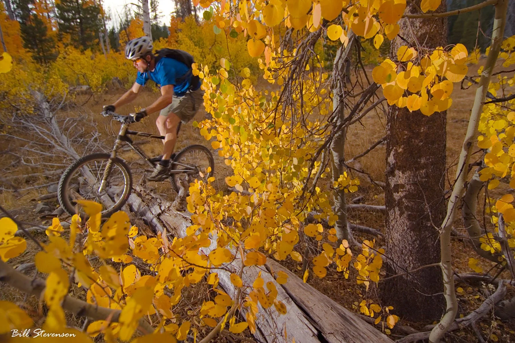 Royalty Free Biking Photo