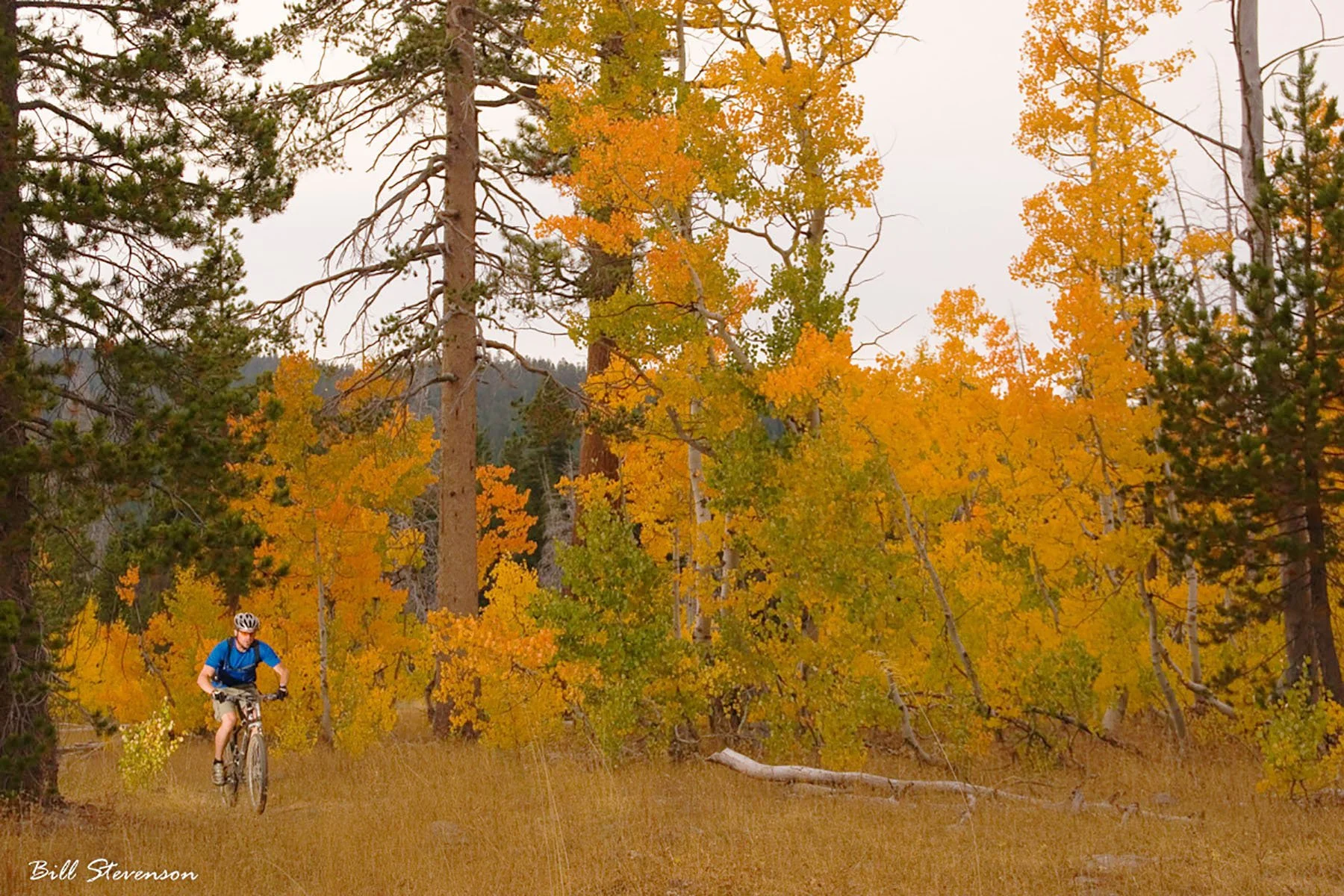 Royalty Free Biking Photo