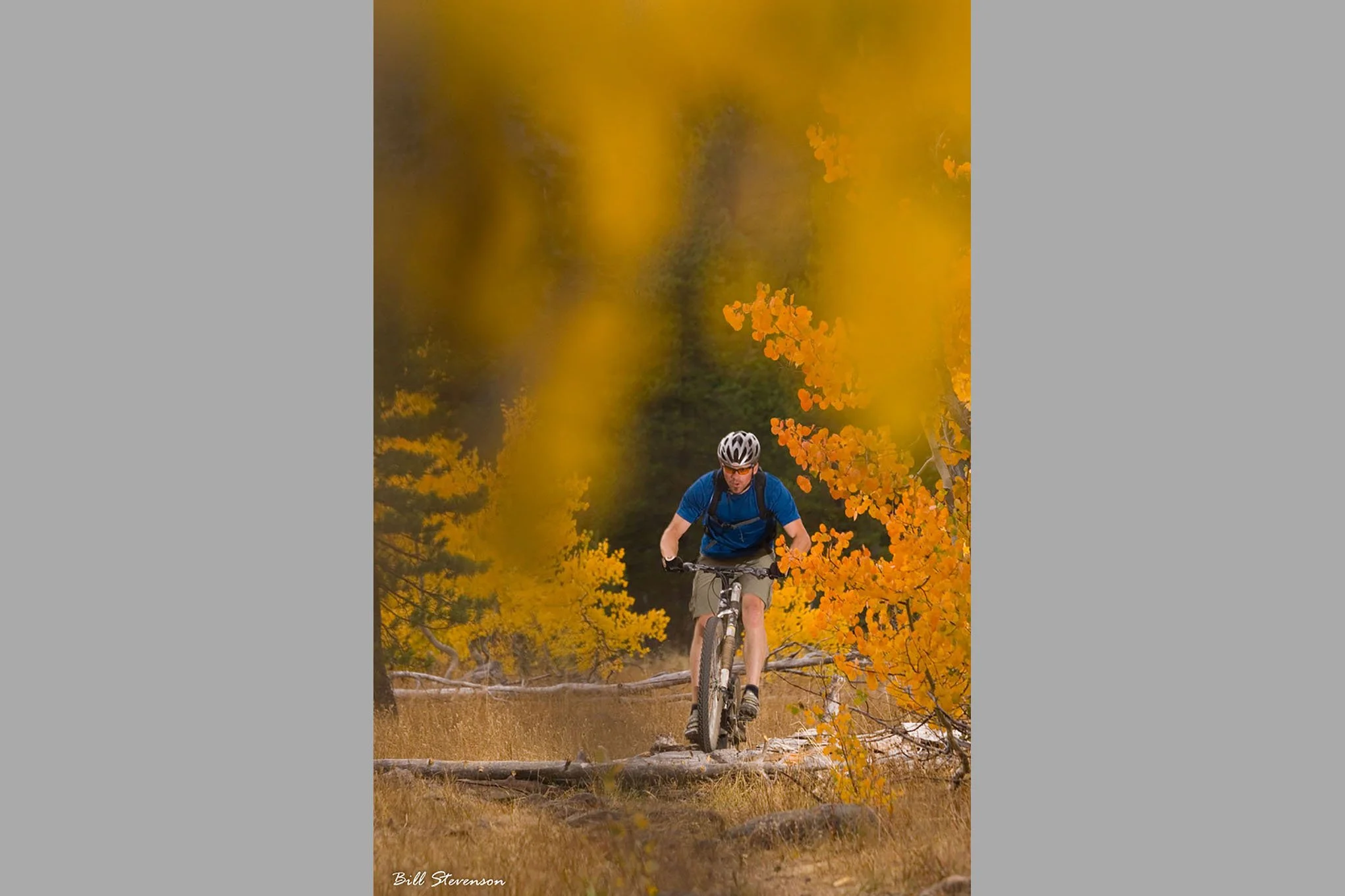 Royalty Free Biking Photo