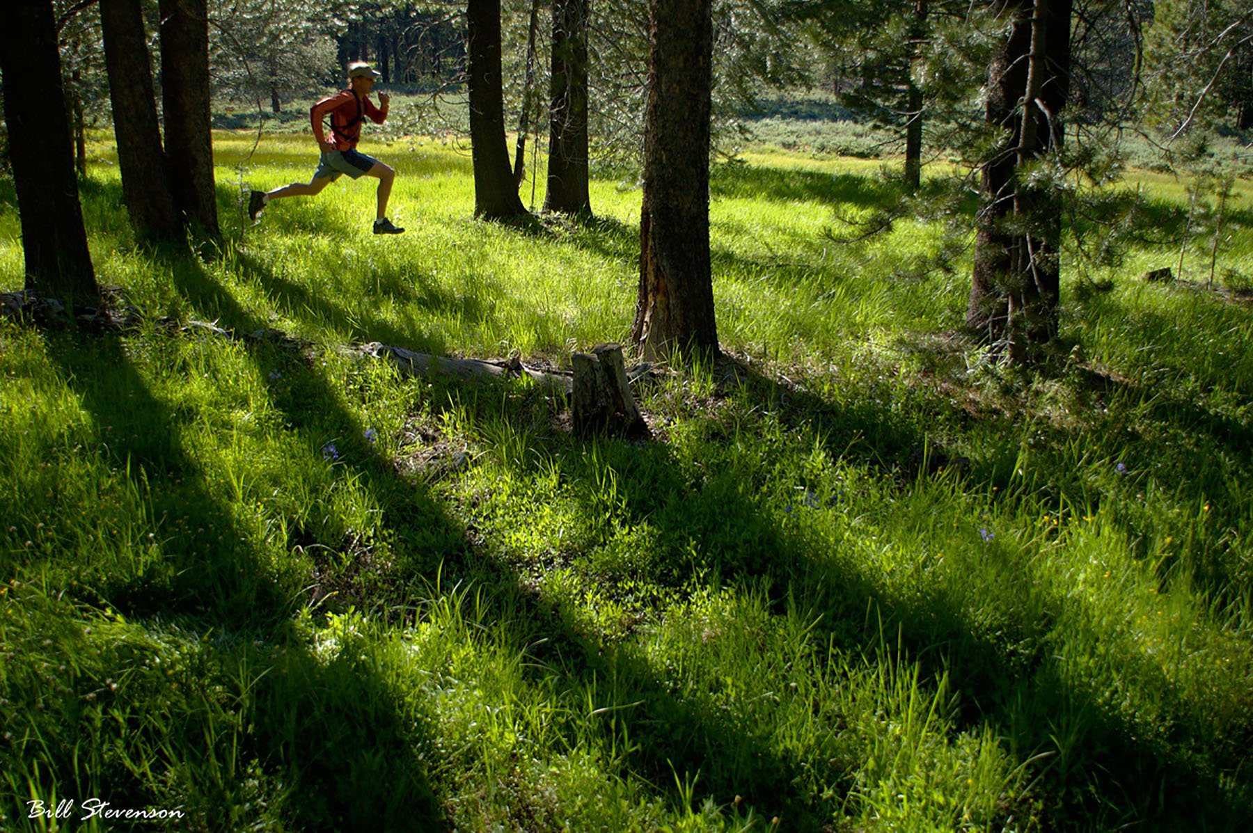 Running in forest