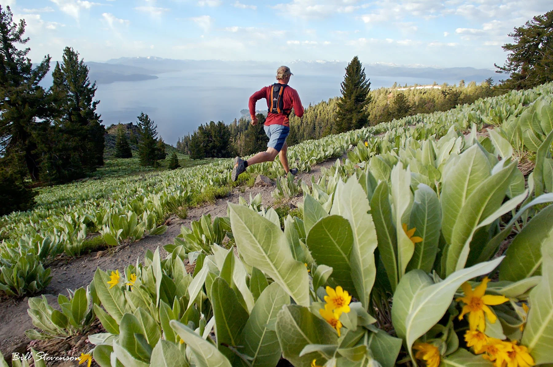 Running through flower field