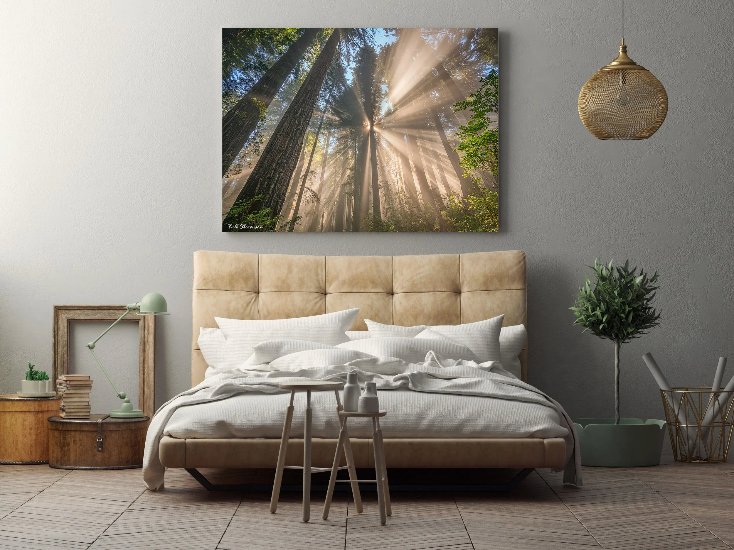 AND THERE WAS LIGHT-mockup.jpg