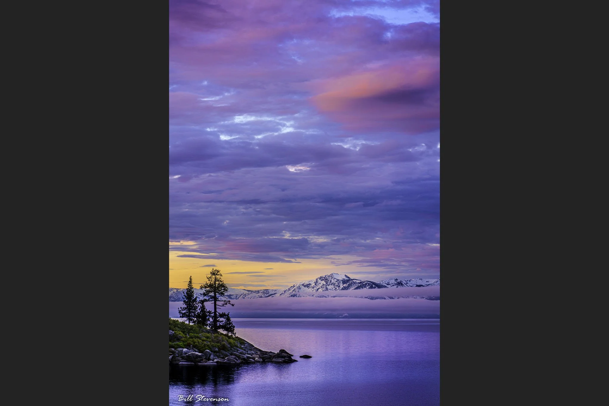 Gossamer - 24 X 36 Metal Print