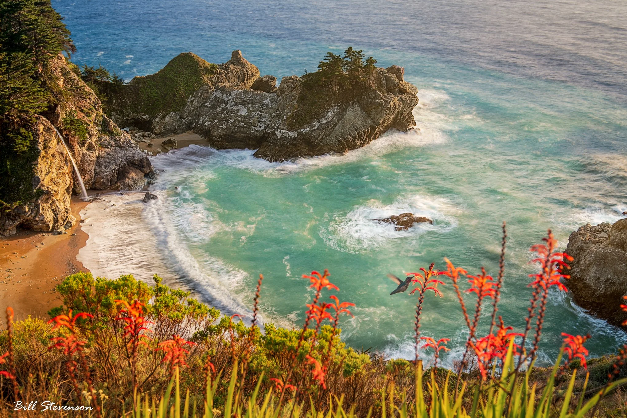Ocean Nectar - 30 X 45 Metal Print