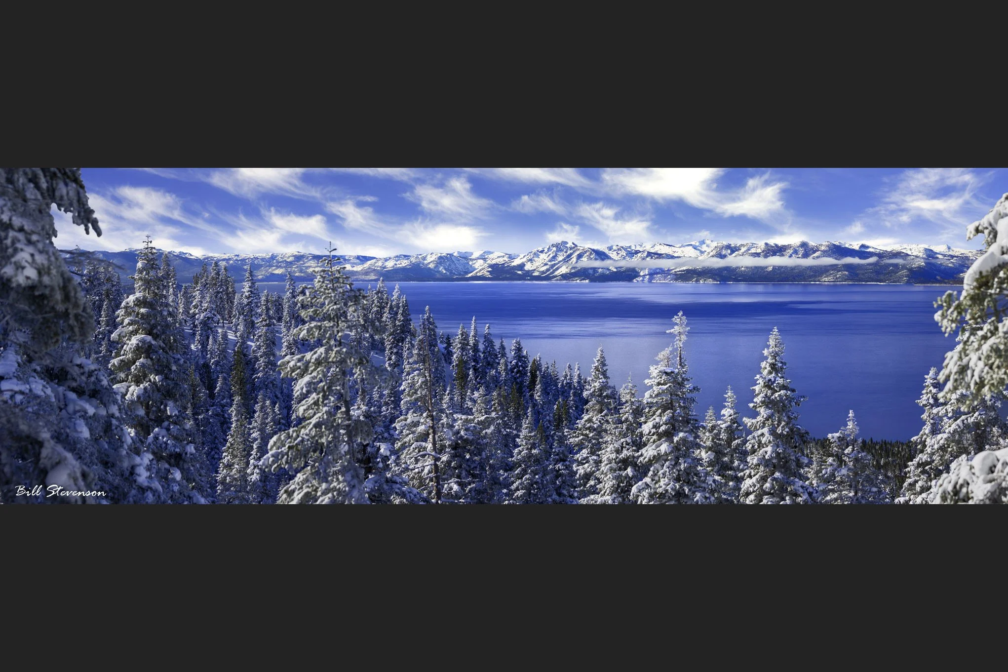 Winter Daydream - 16 X 48 Metal Print