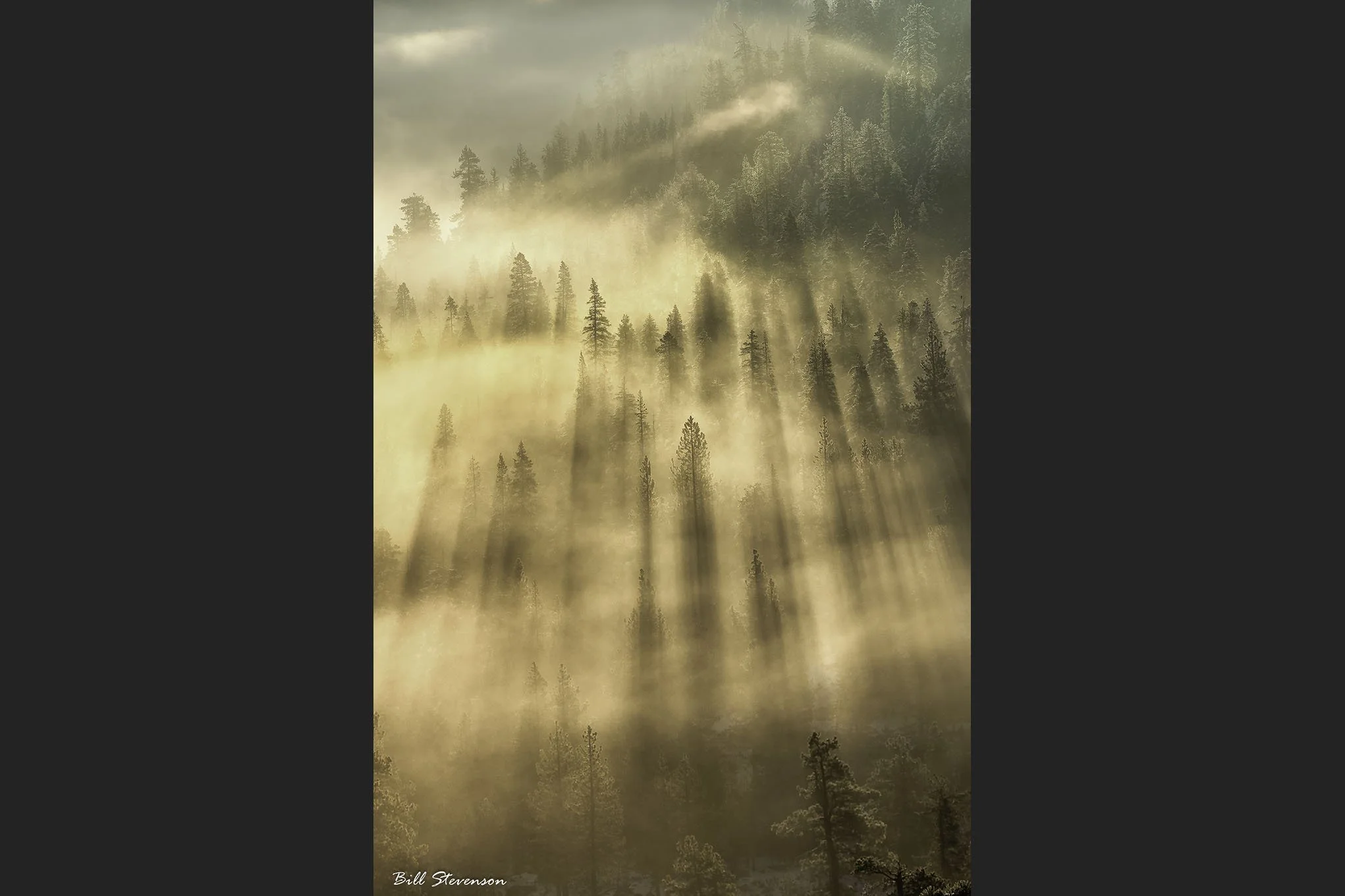 CATARACT OF LIGHT.jpg